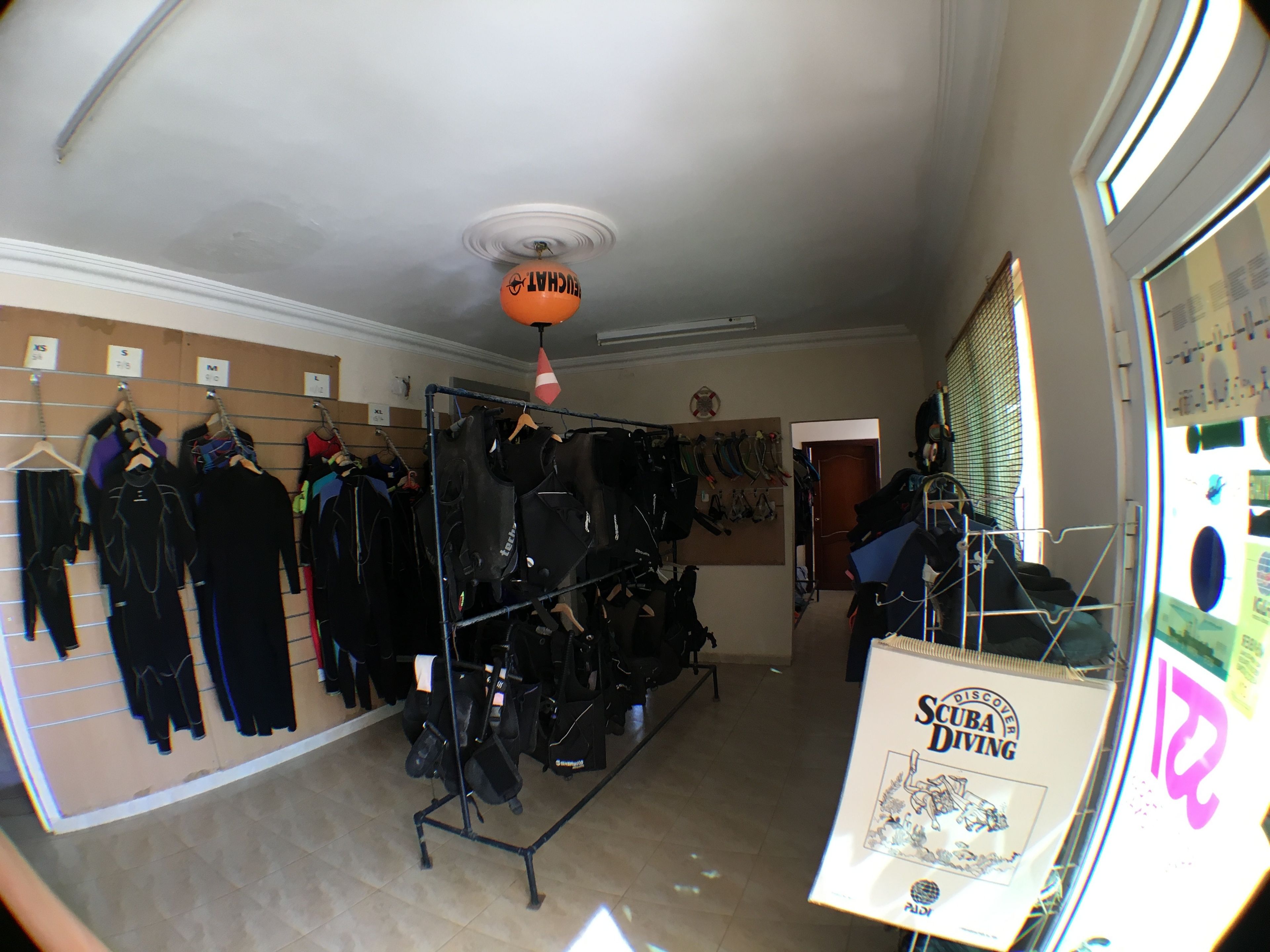 Foto - Red Sea Dive Center