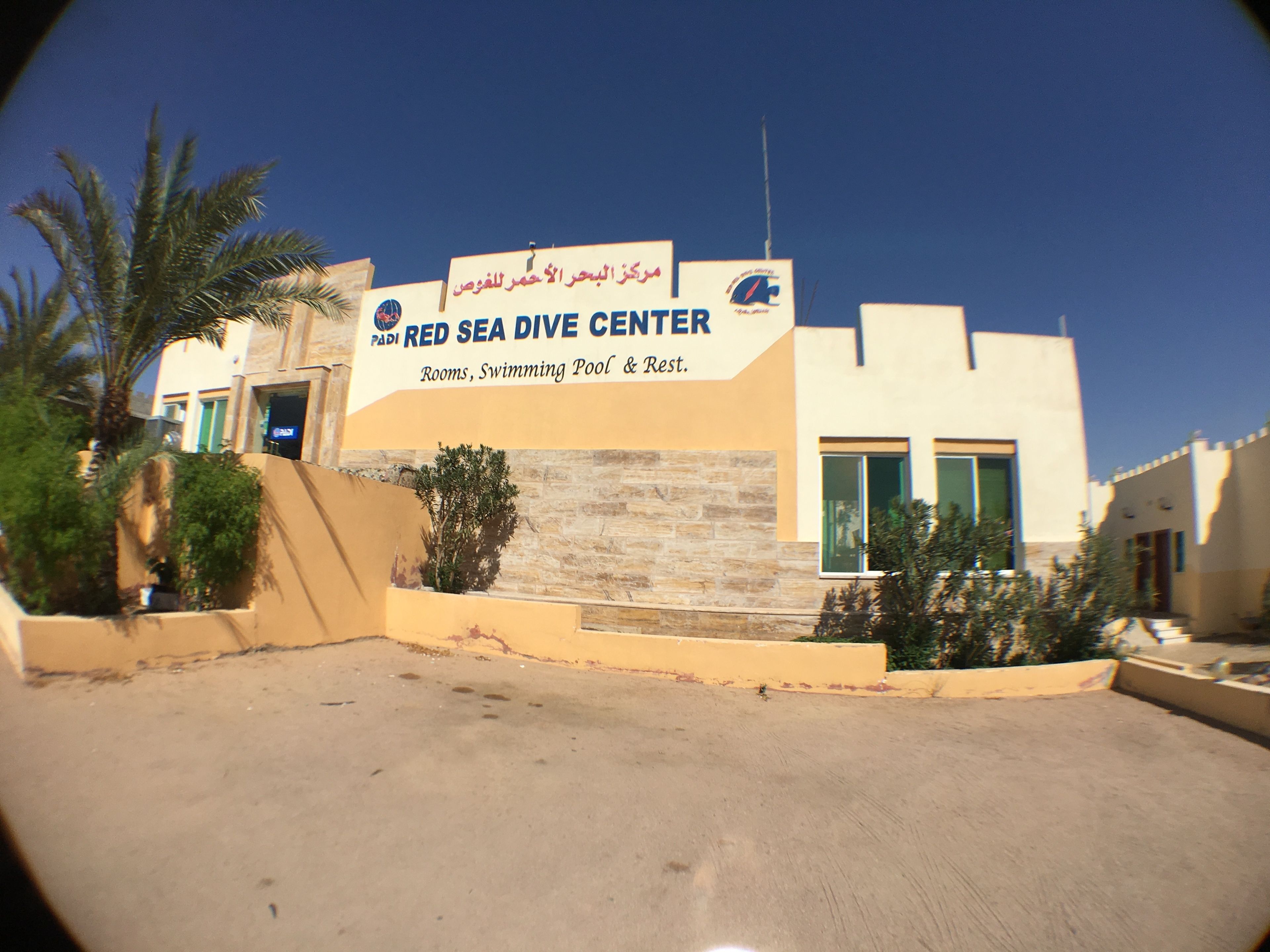 Foto - Red Sea Dive Center