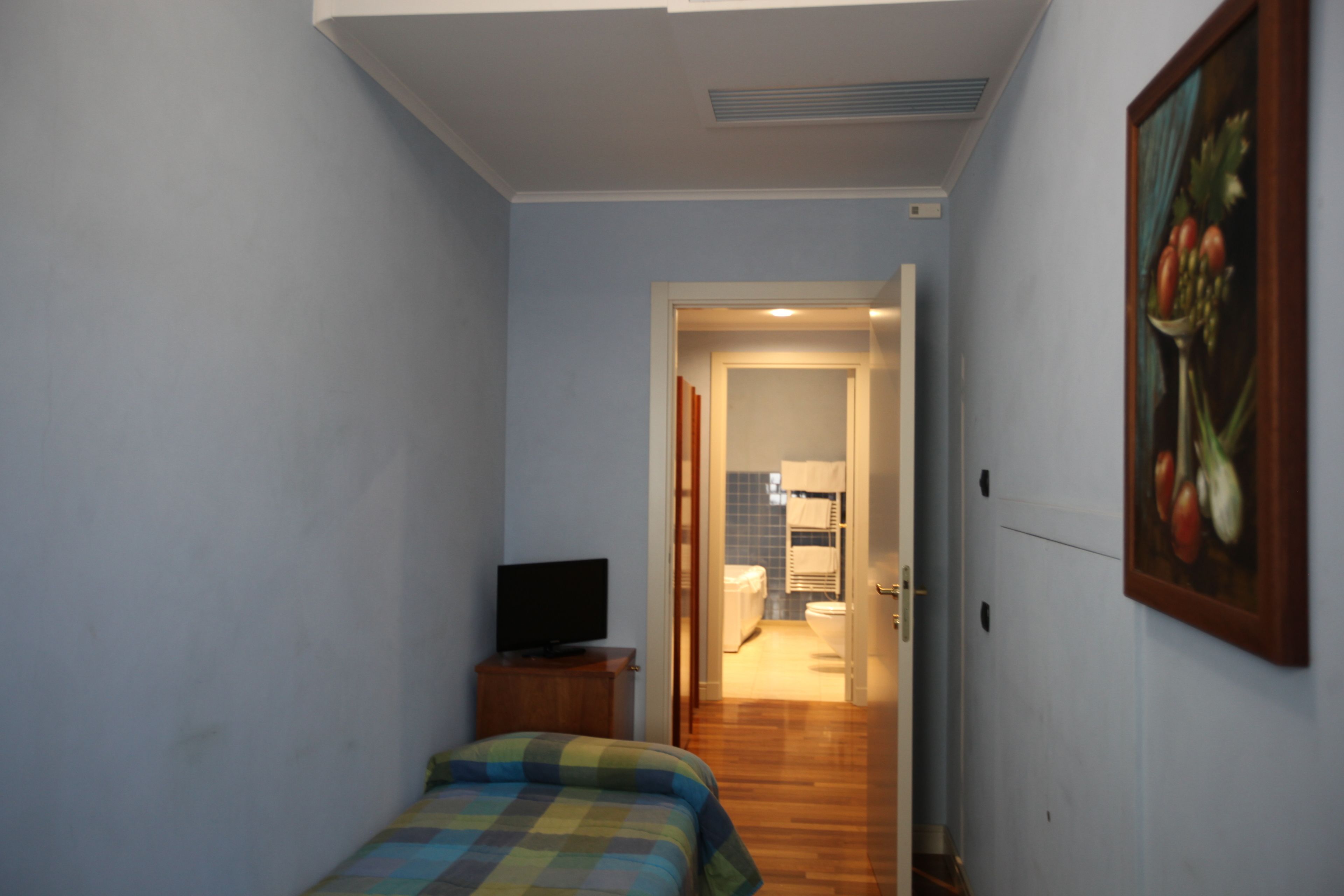 A narrow hallway leading to a bathroom with a shower, a bed with a checkered blanket, and a television on a wooden stand.