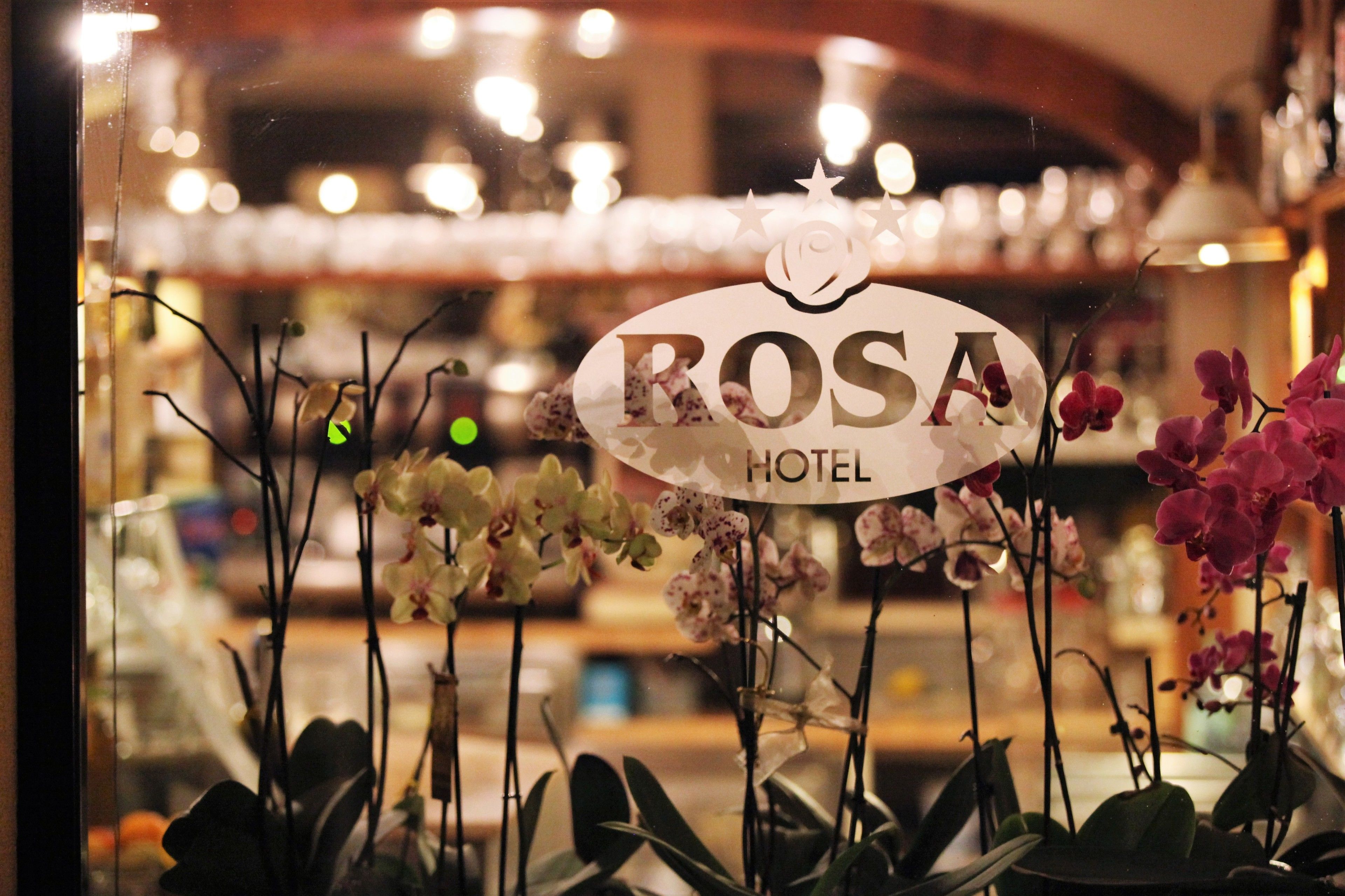 Photo - Hotel Rosa