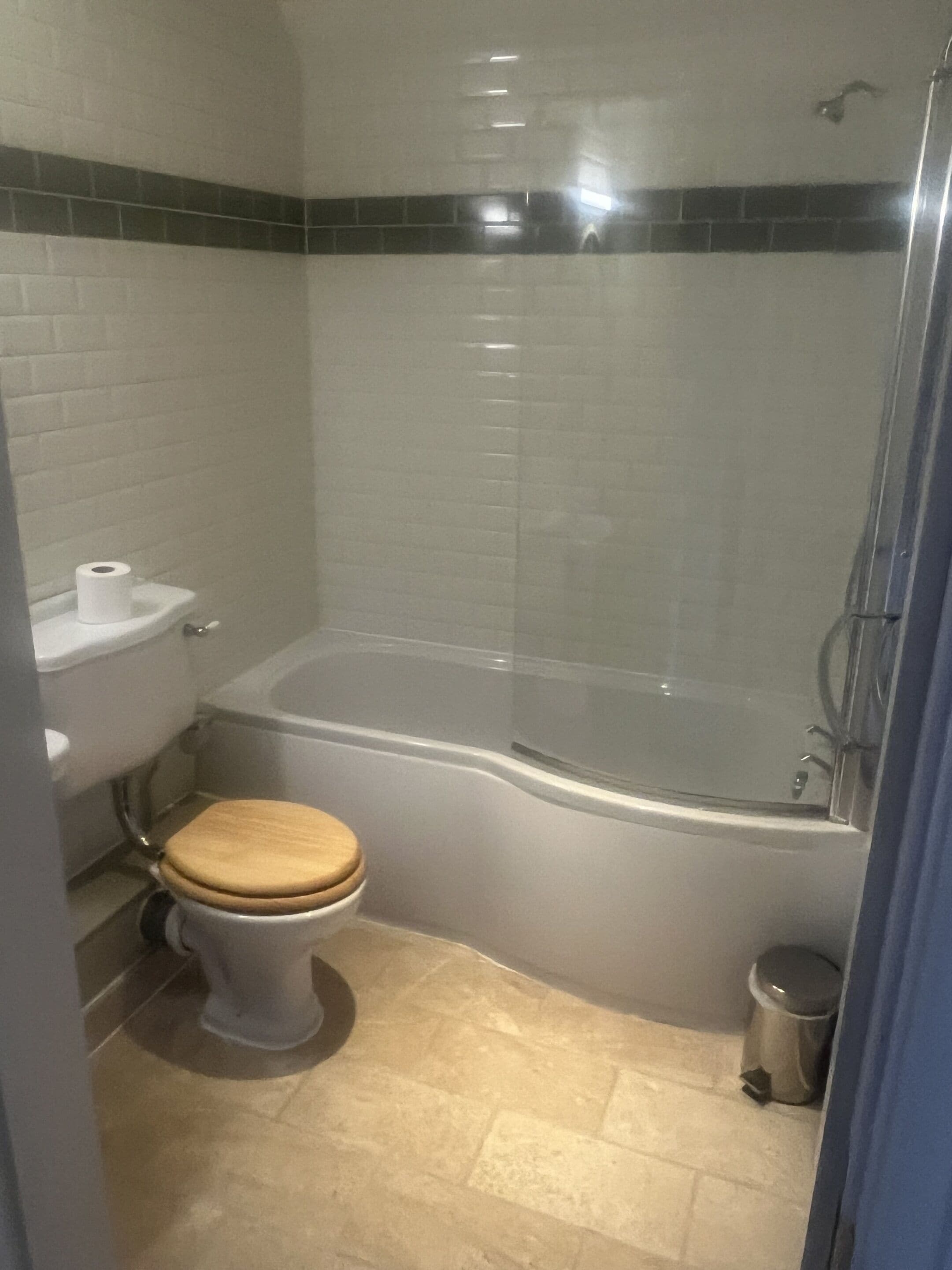 Een badkamer met een toilet, een douche en een bad.