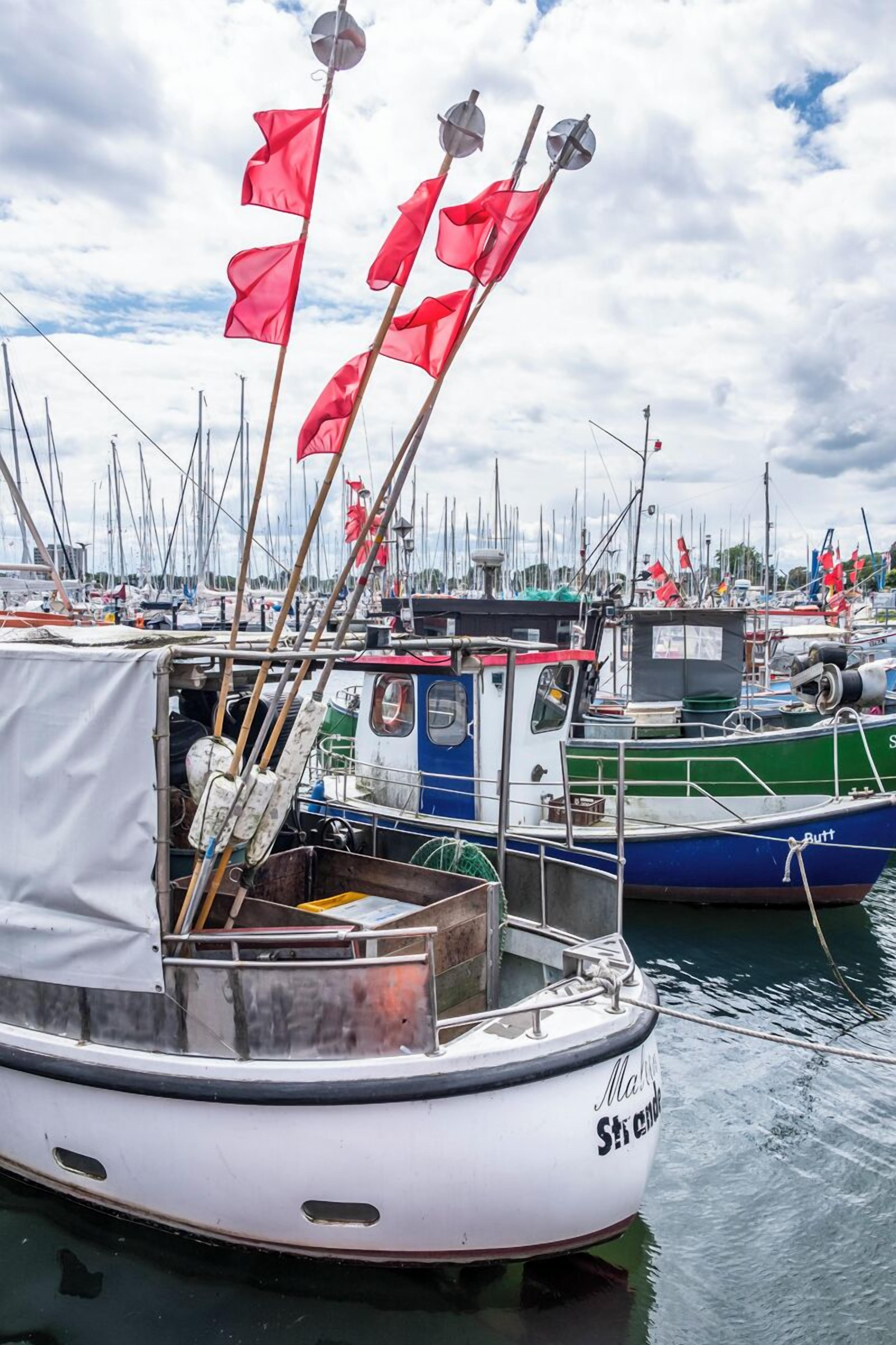 A marina with boats docked, including a white boat with 'St. Clair' written on it.