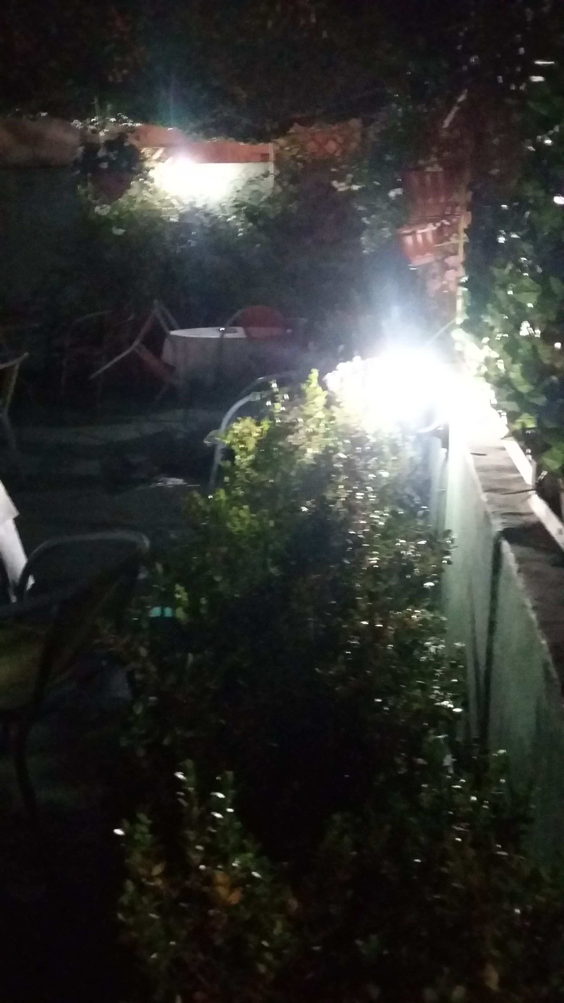 Foto - B&B Dolcevita