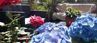 B&B Dolcevita Pompei