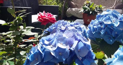 B&B Dolcevita Pompei