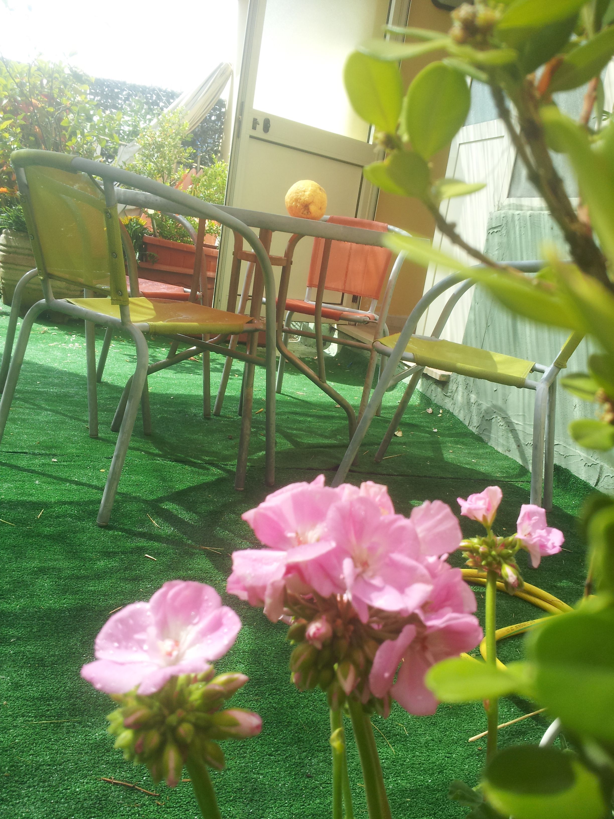 Foto - B&B Dolcevita