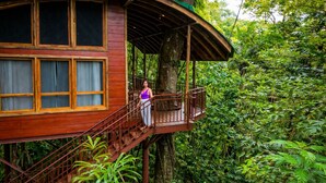 A wooden treehouse with a balcony, surrounded by dense forest. - Maquenque Lodge (Pital)