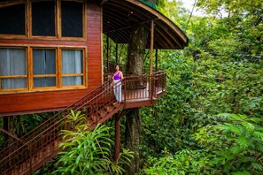 Deluxe Tree House, Multiple Beds, Mountain View