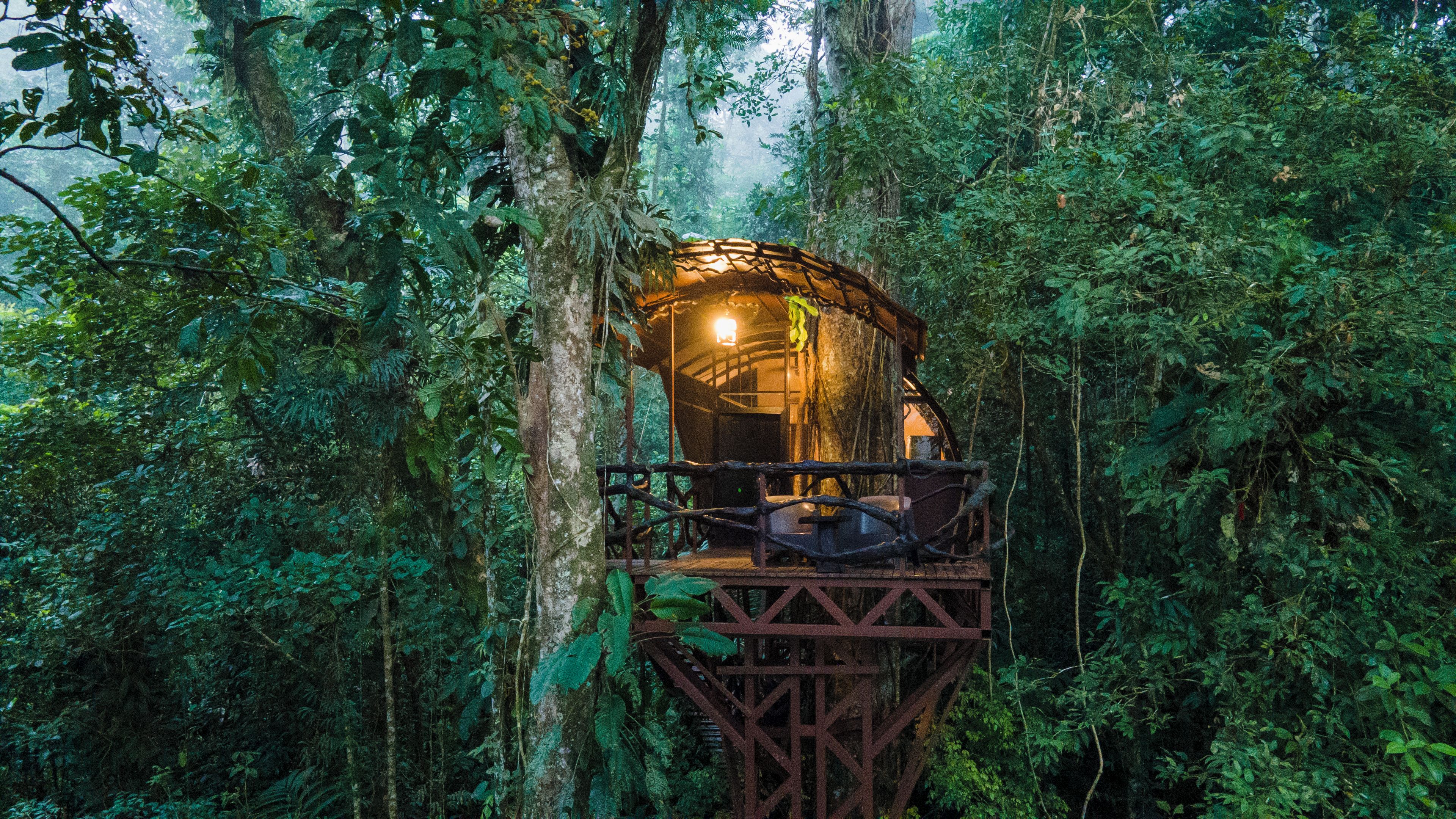 A treehouse with a wooden platform and a glass enclosure, surrounded by dense forest.