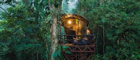 A treehouse with a wooden platform and a glass enclosure, surrounded by dense forest.