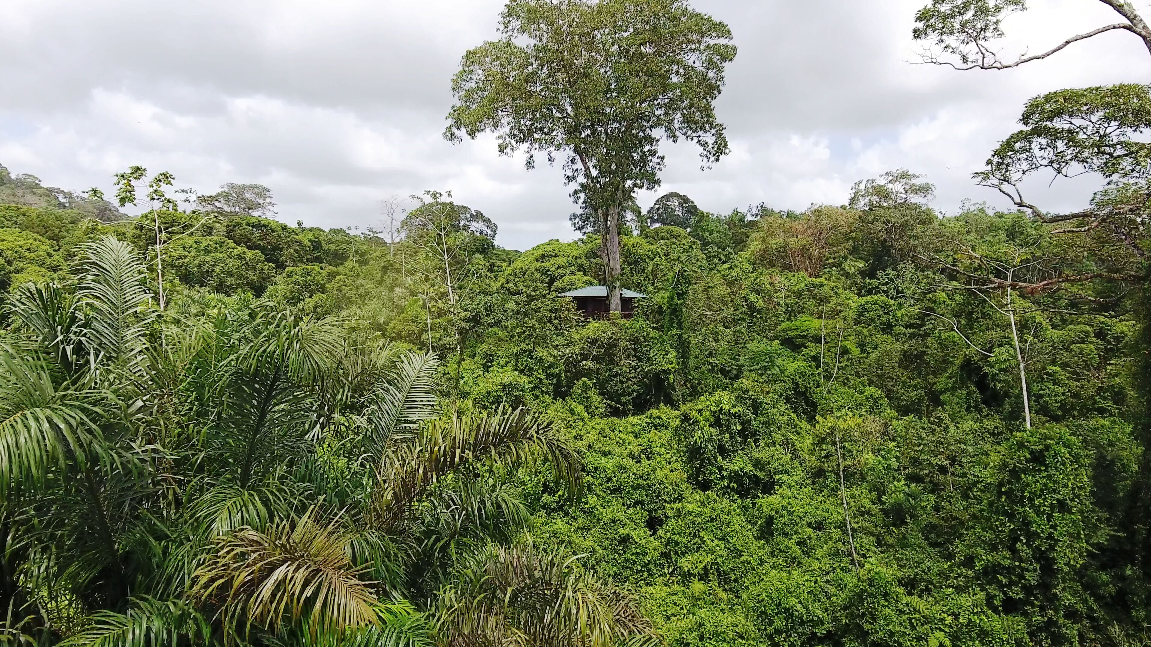 tree house, multiple beds, mountain view | mountain view