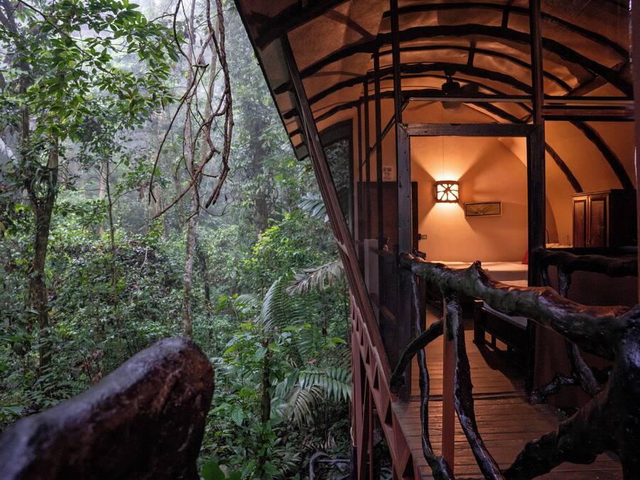 Tree House, 2 Queen Beds, Mountain View | View from room