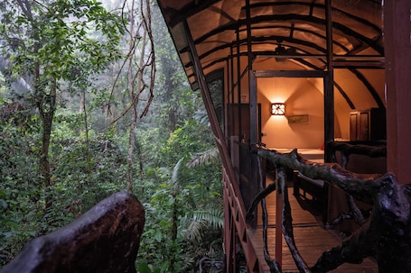 Tree House, 2 Queen Beds, Mountain View | View from room. Maquenque Lodge