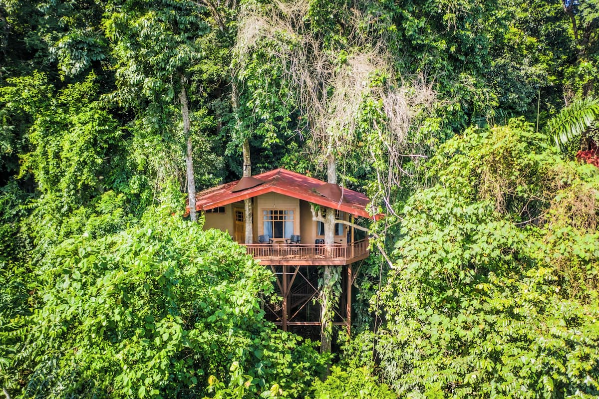 Deluxe Tree House, Multiple Beds, Mountain View | Desk, free cribs/infant beds, bed sheets, wheelchair access