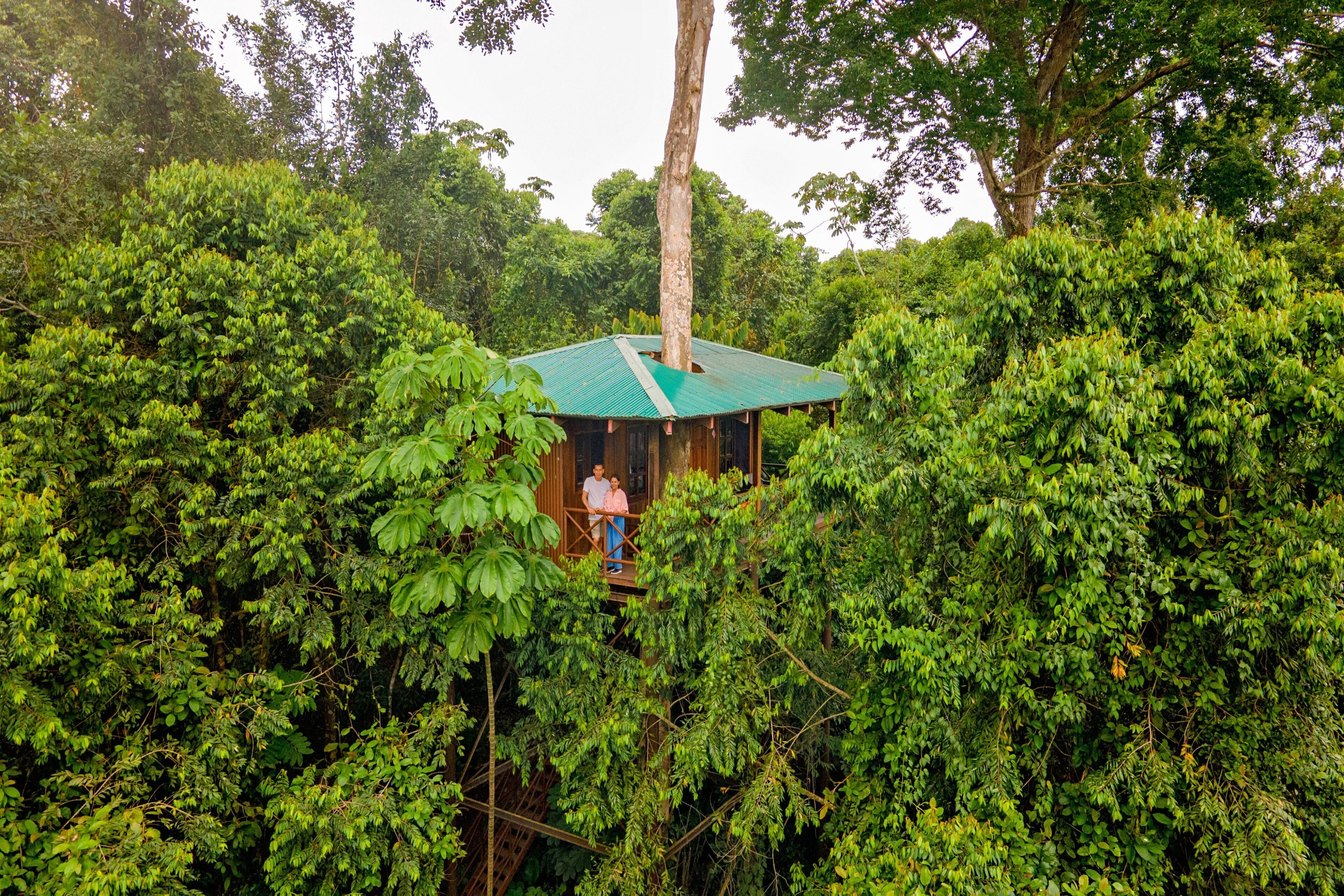 tree house, multiple beds, mountain view | 1 bedroom, desk, bed sheets, wheelchair access