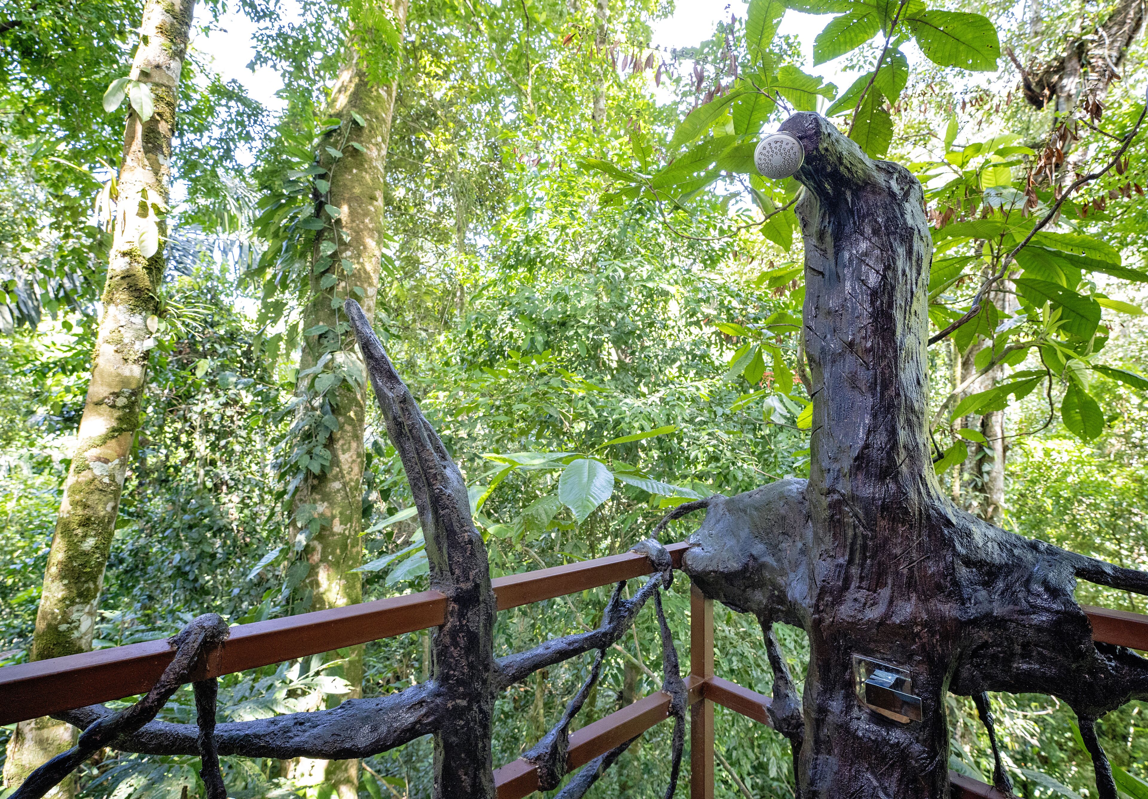 tree house, 2 queen beds, mountain view | bathroom | shower, rainfall showerhead, eco-friendly toiletries, towels