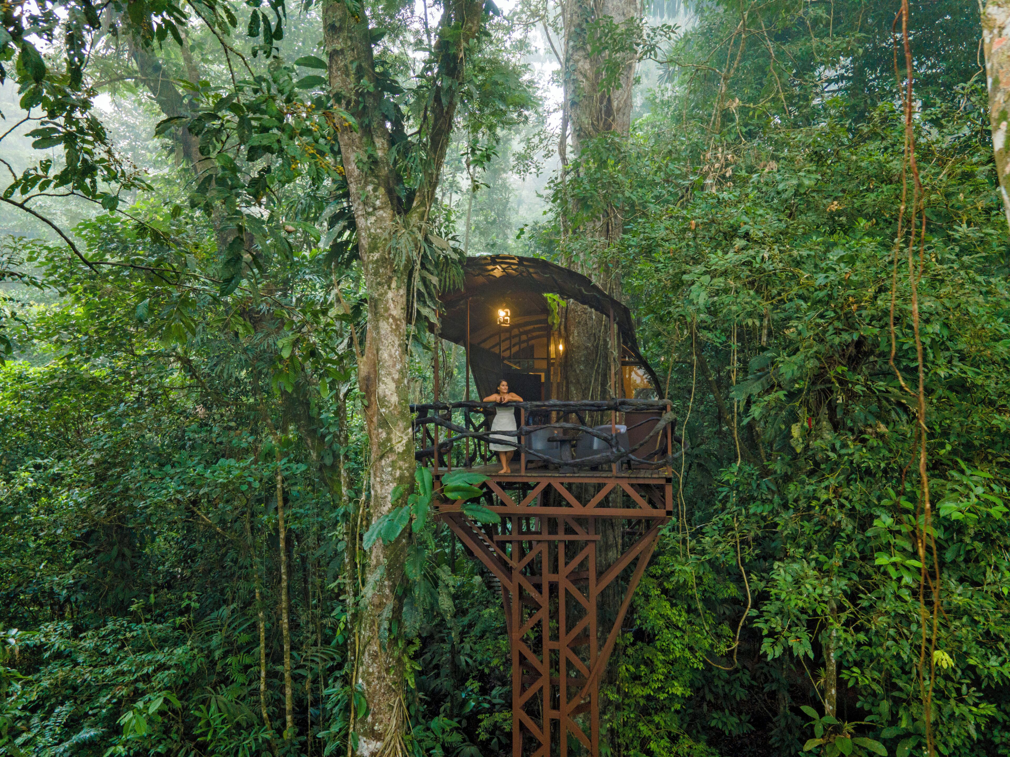 Boomhut, 2 queensize bedden, uitzicht op bergen | Een bureau, gratis babybedden, beddengoed, rolstoeltoegang