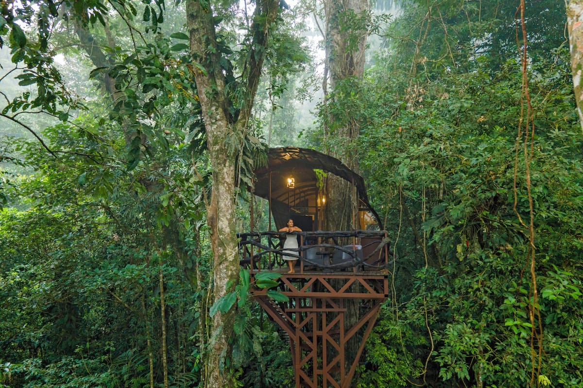 Tree House, 2 Queen Beds, Mountain View | Desk, free cribs/infant beds, bed sheets, wheelchair access