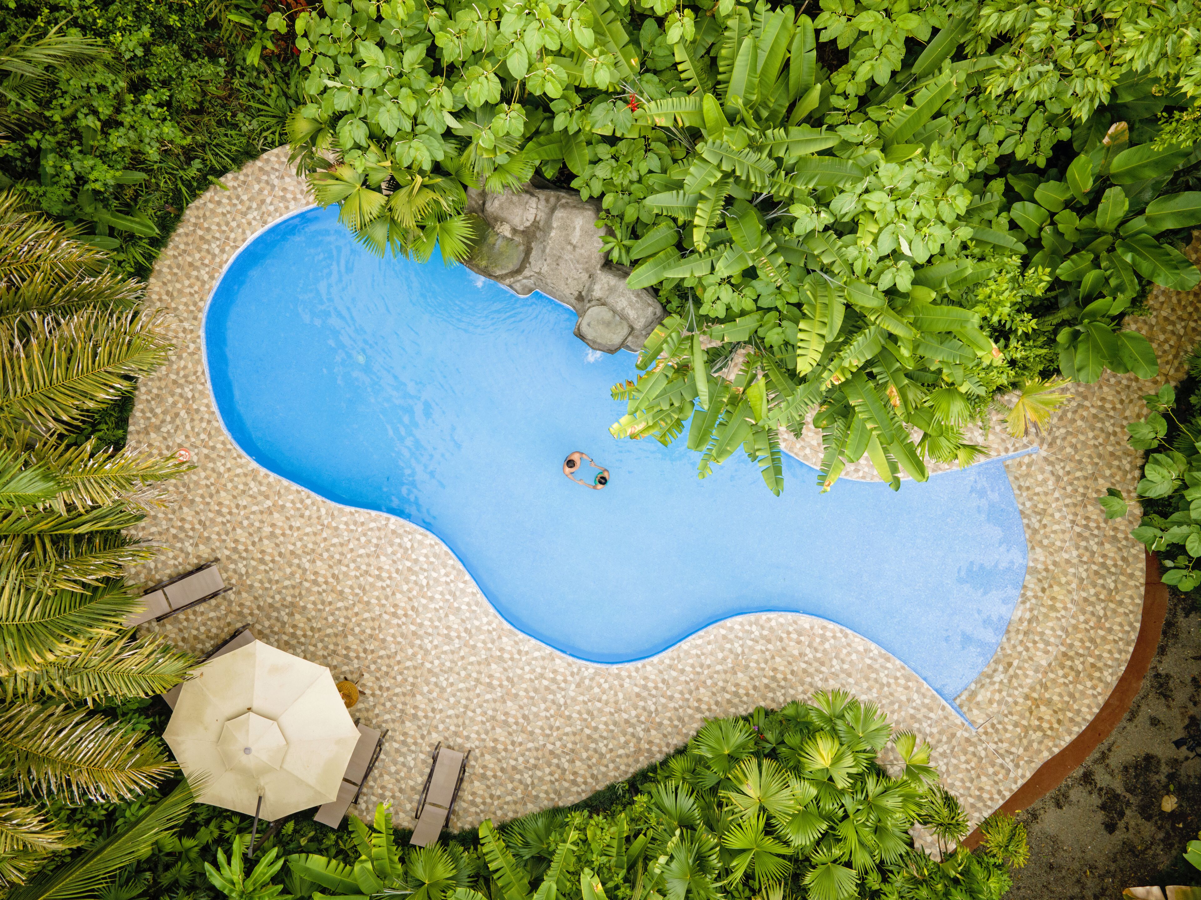 outdoor pool, pool loungers
