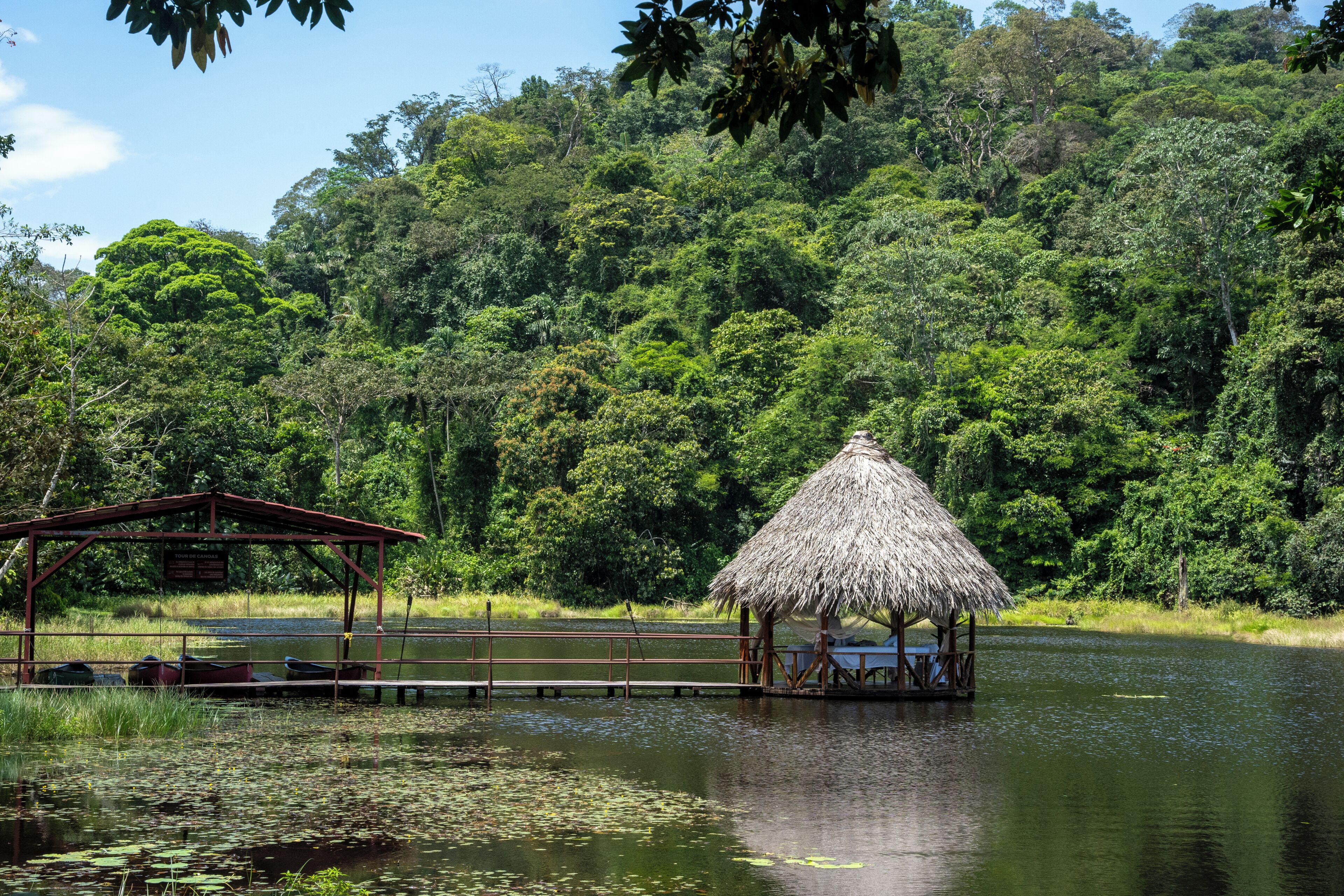 A thatched-roof hut by a calm lake surrounded by dense forest.