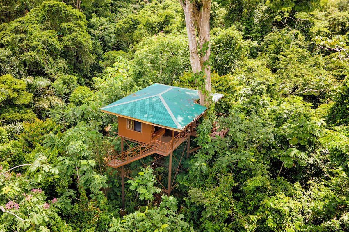 Tree House, Multiple Beds, Mountain View | Desk, free cribs/infant beds, bed sheets, wheelchair access