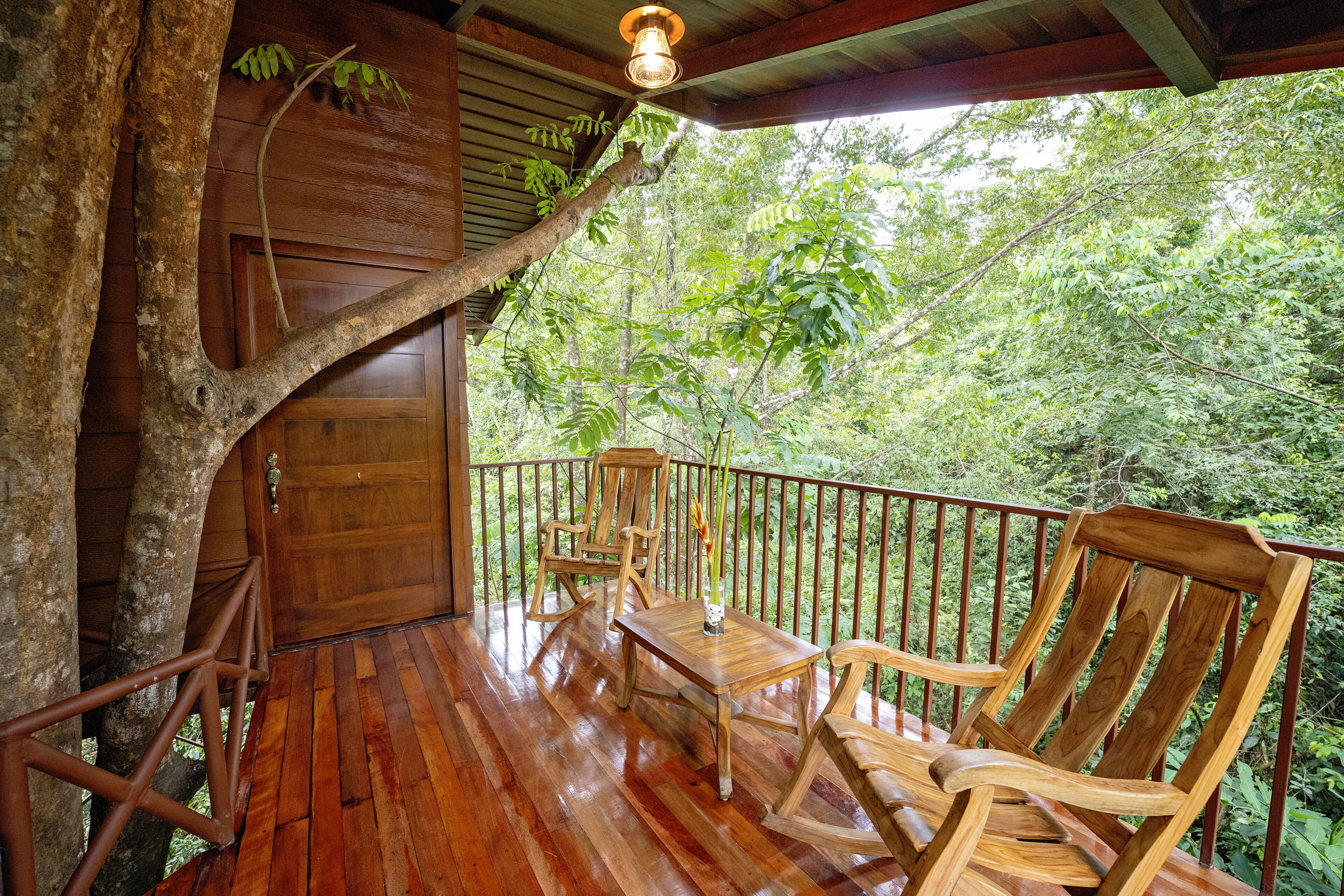 tree house, multiple beds, mountain view | terrace/patio