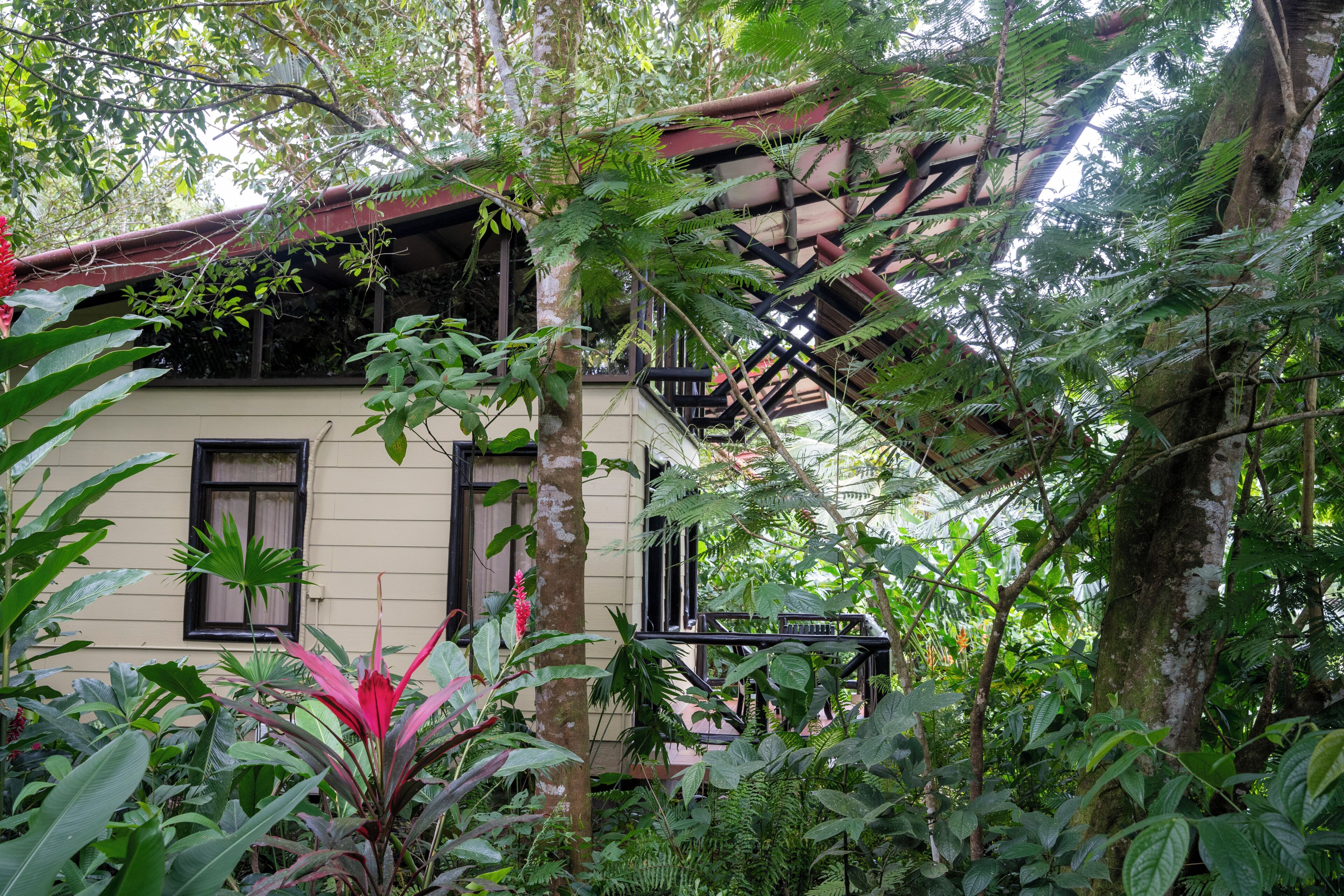 A building with a balcony, surrounded by dense foliage and trees.