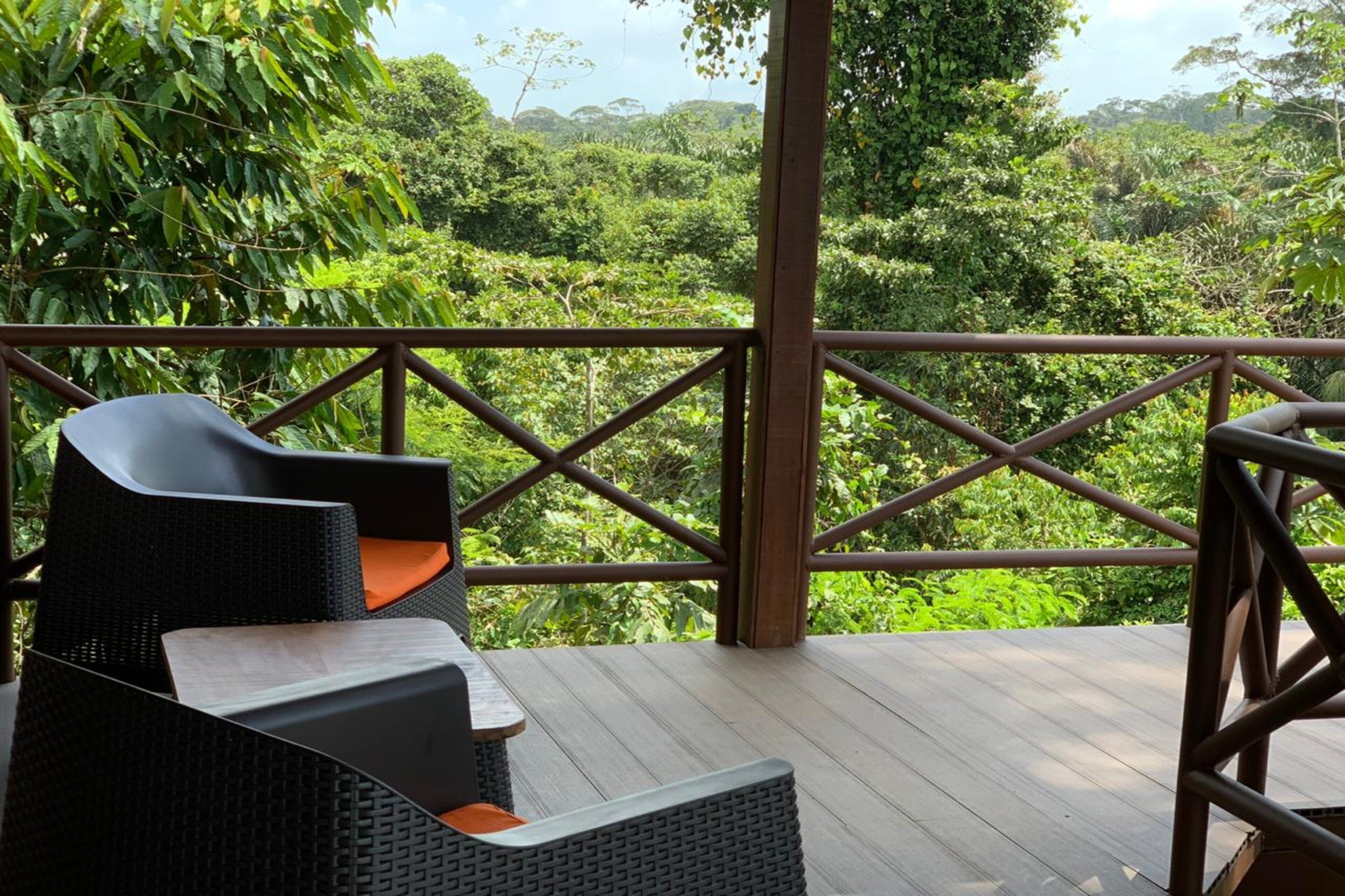 Tree House, Multiple Beds, Mountain View | Desk, free cribs/infant beds, bed sheets, wheelchair access