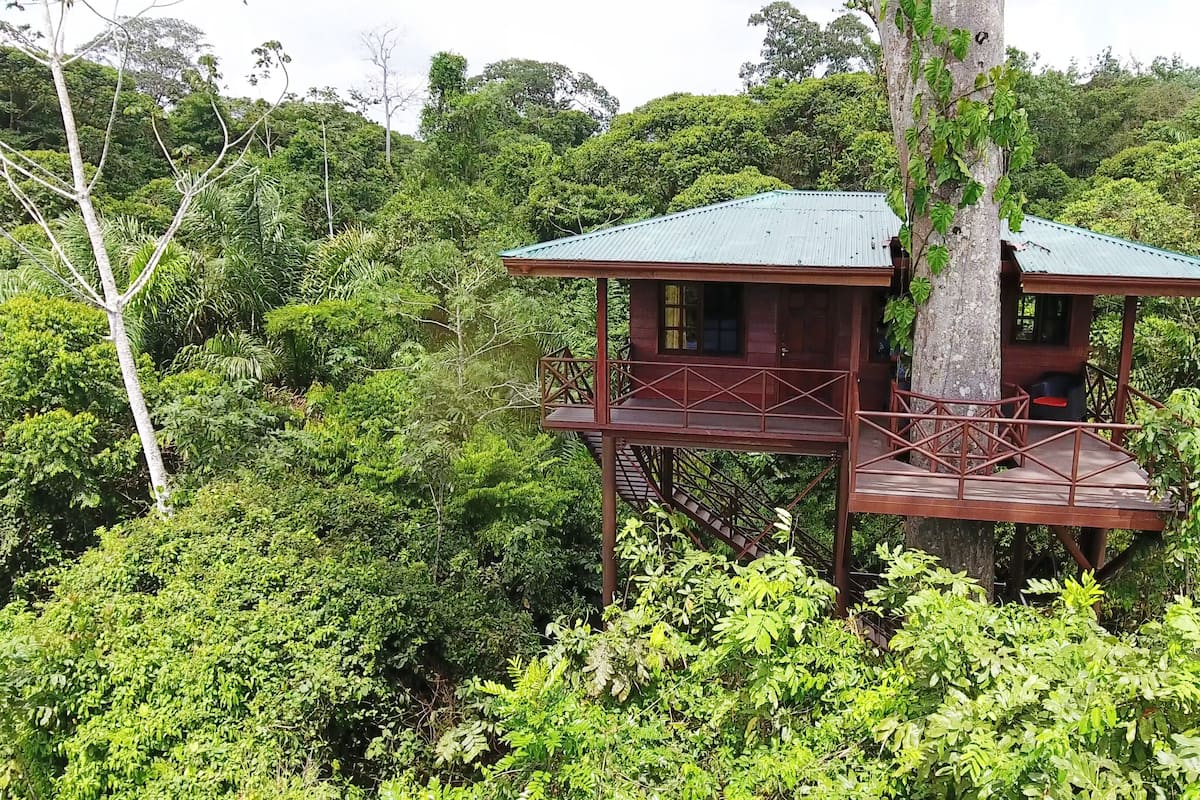 Tree House, Multiple Beds, Mountain View | 1 bedroom, desk, bed sheets, wheelchair access