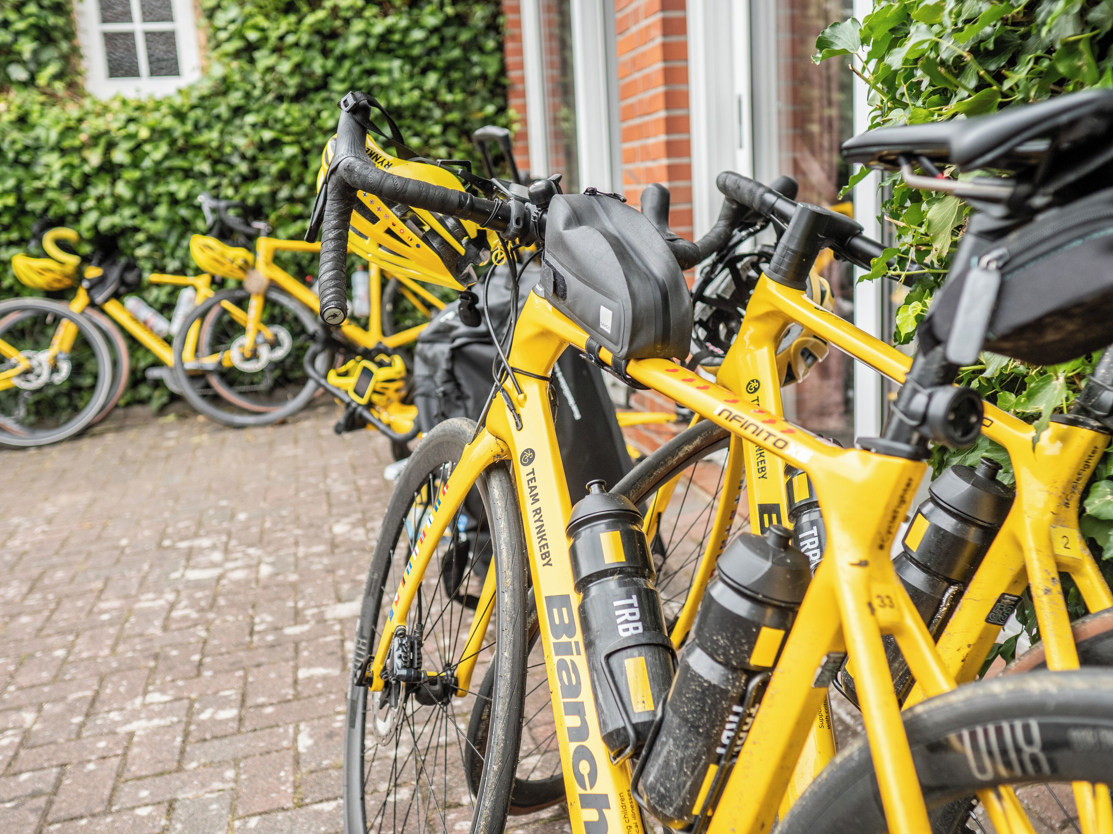 A row of yellow bicycles parked in an outdoor area with a brick wall and greenery in the background.