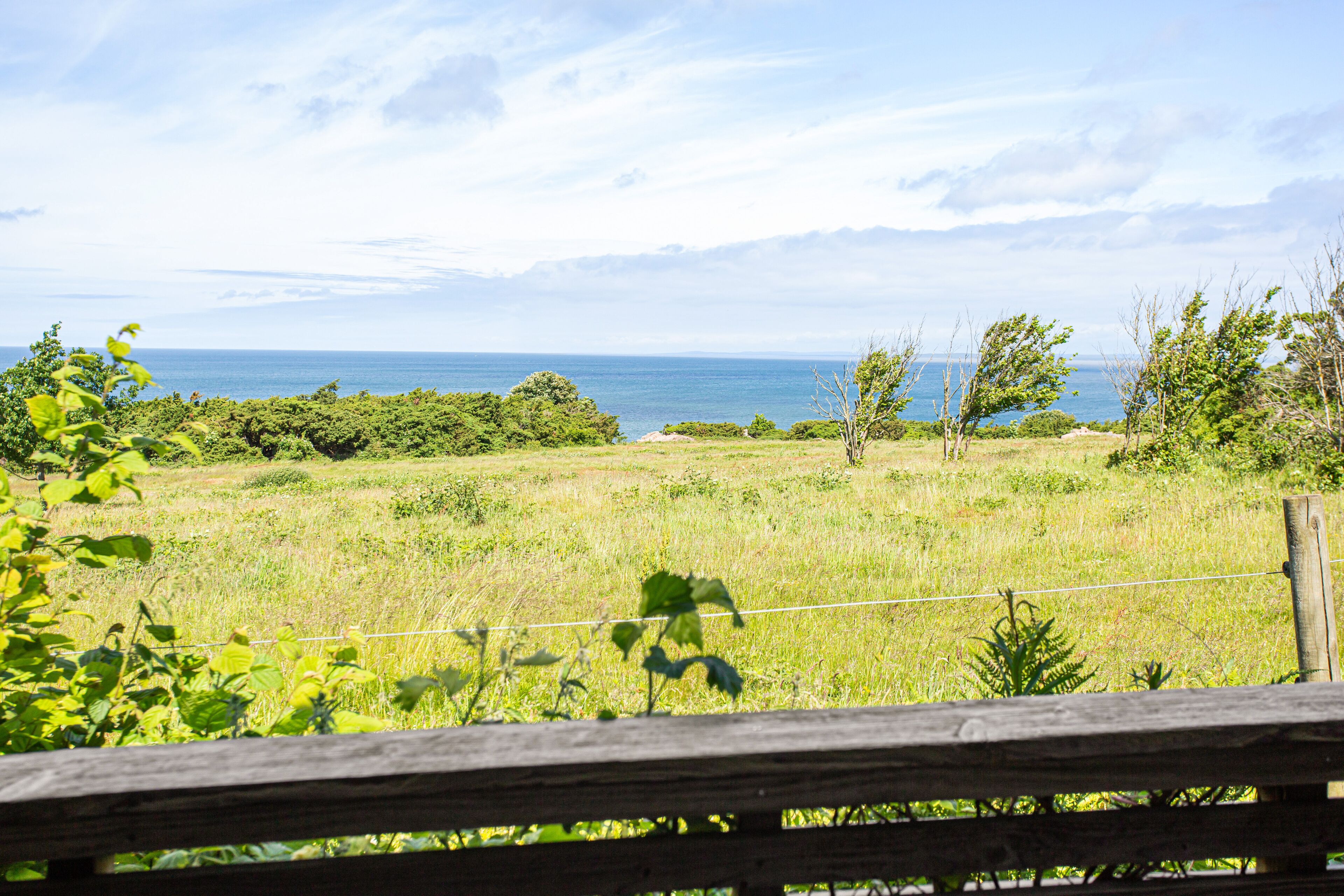A grassy field with a wooden fence and a view of the ocean.