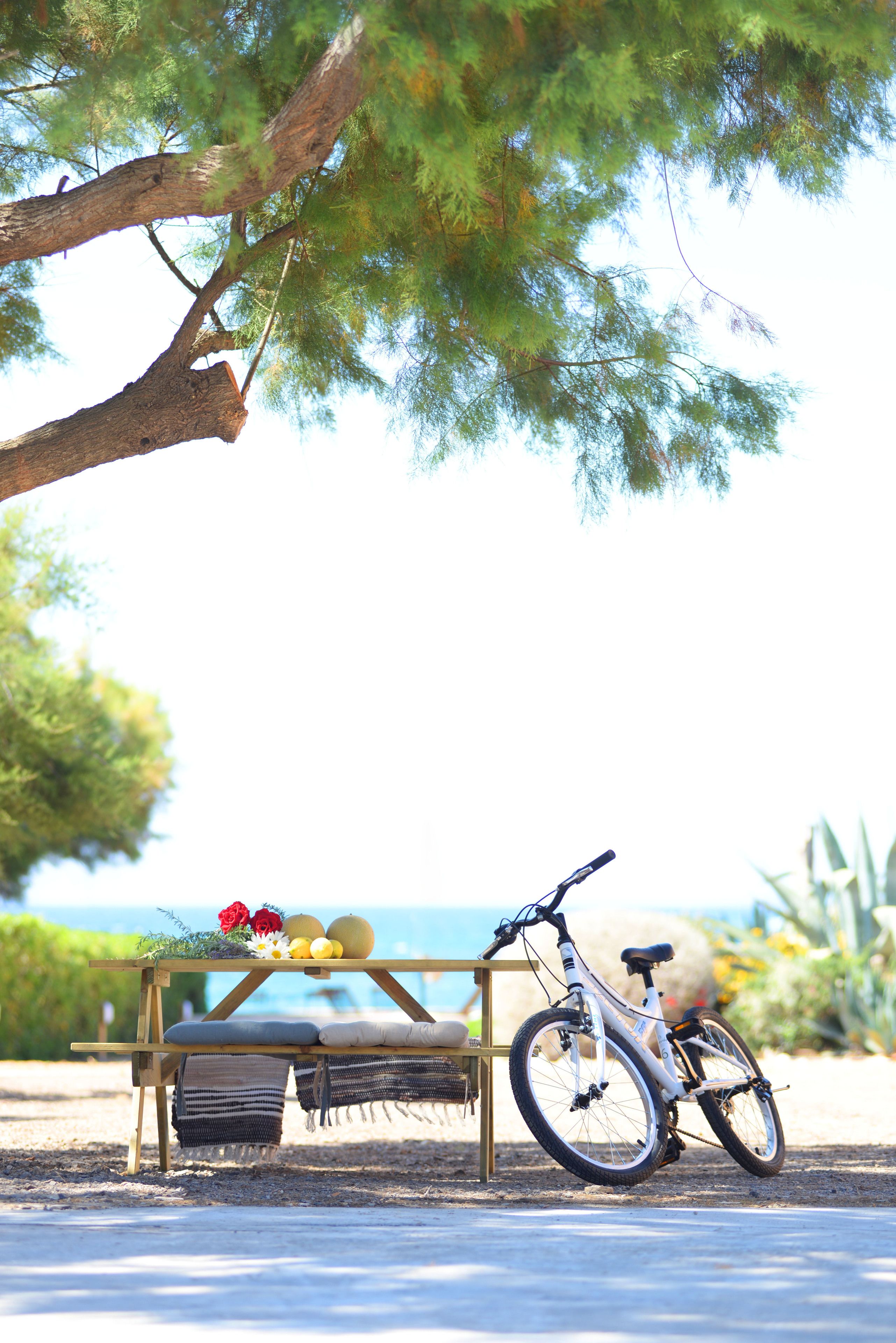A bicycle parked next to a wooden bench with cushions and a table set with fruits and flowers.