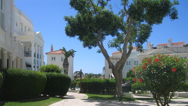 Un sentier pavé de pierres menant à travers un jardin bien entretenu, avec des haies soigneusement taillées et une variété d’arbres.