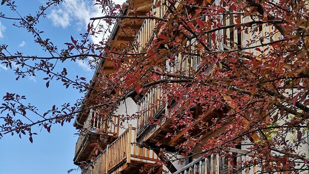 A traditional chalet with wooden balconies, stone steps, and a mountain backdrop. - Maison Caramel (Landry)