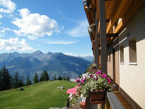 A mountain view from a balcony with a wooden structure and flower boxes. - Hotel La Chance (Gressan)
