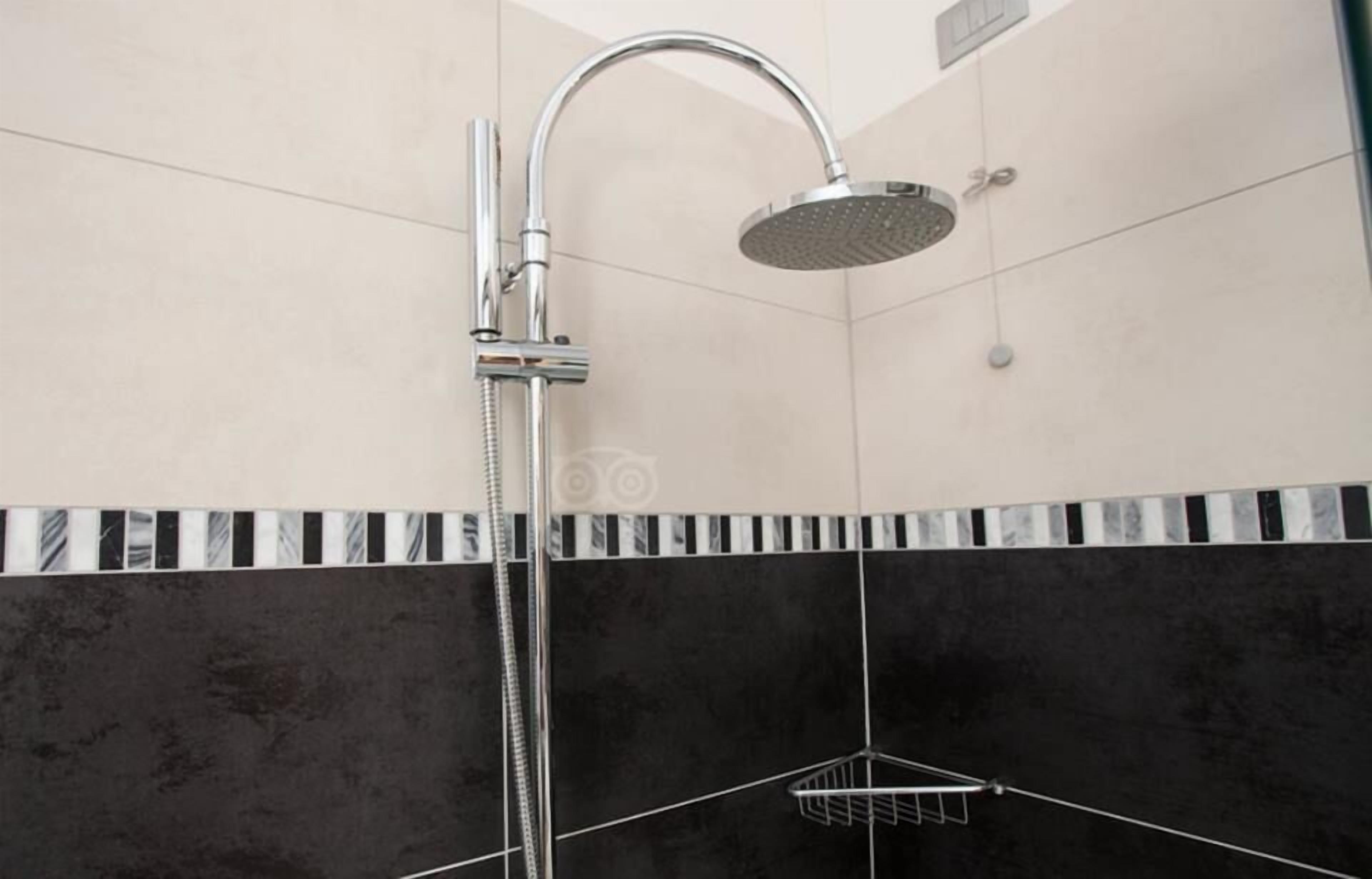 shower, free toiletries, hair dryer, bidet