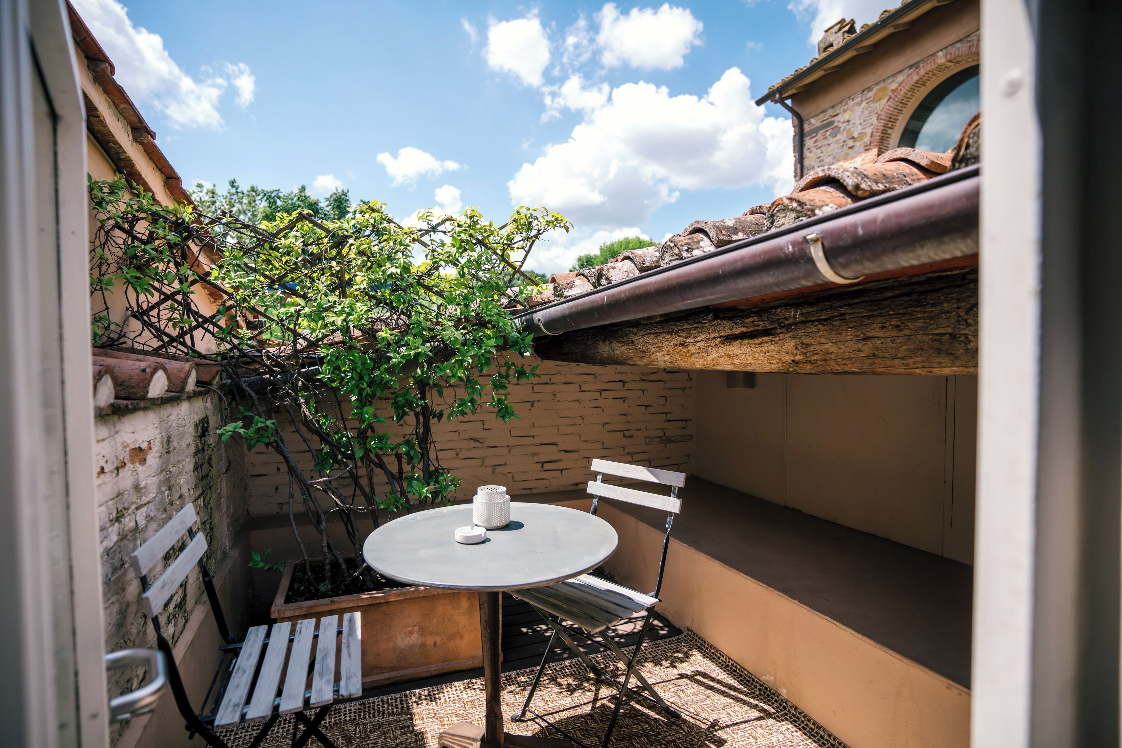 Junior Suite | Terrace/patio