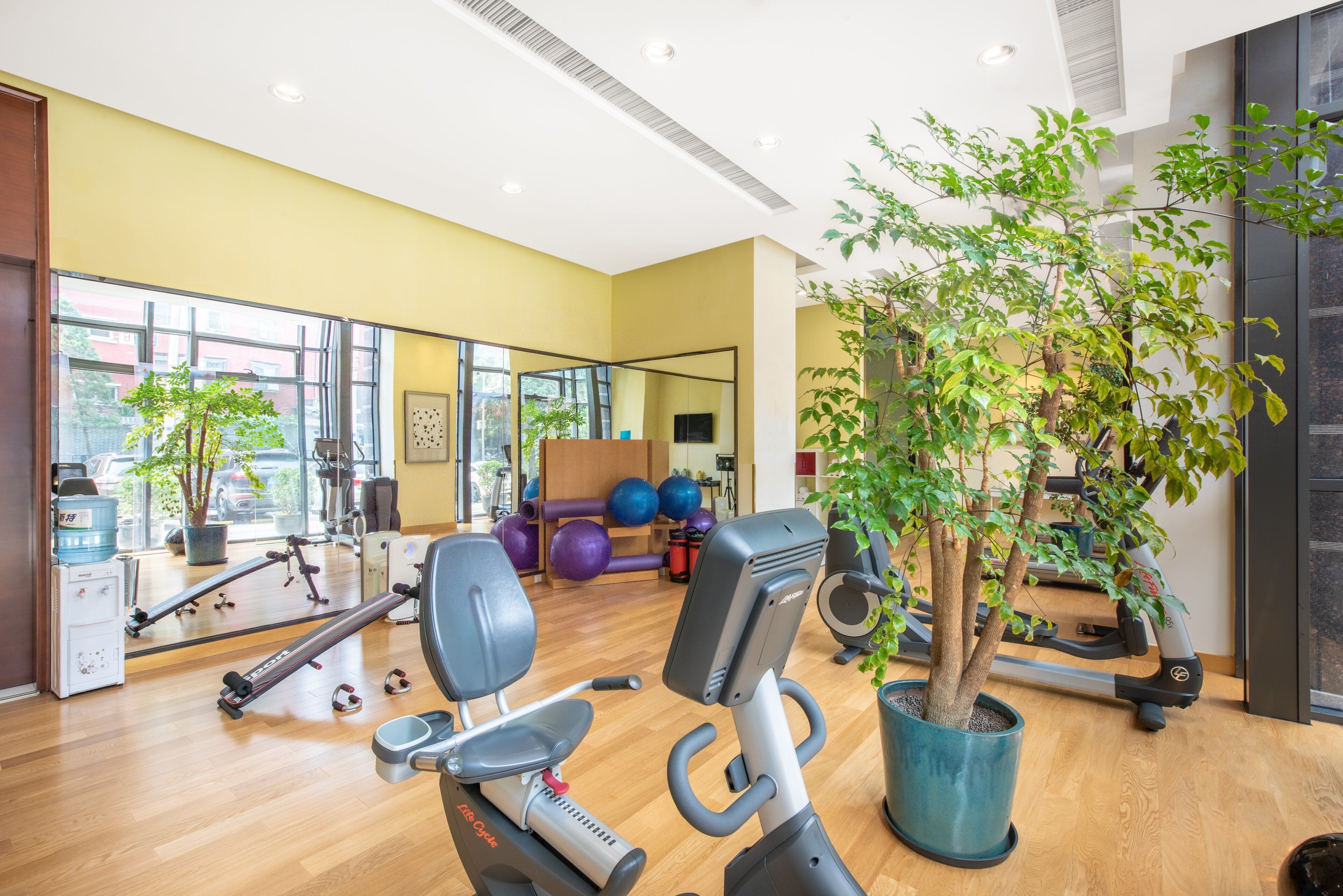 Sala de fitness