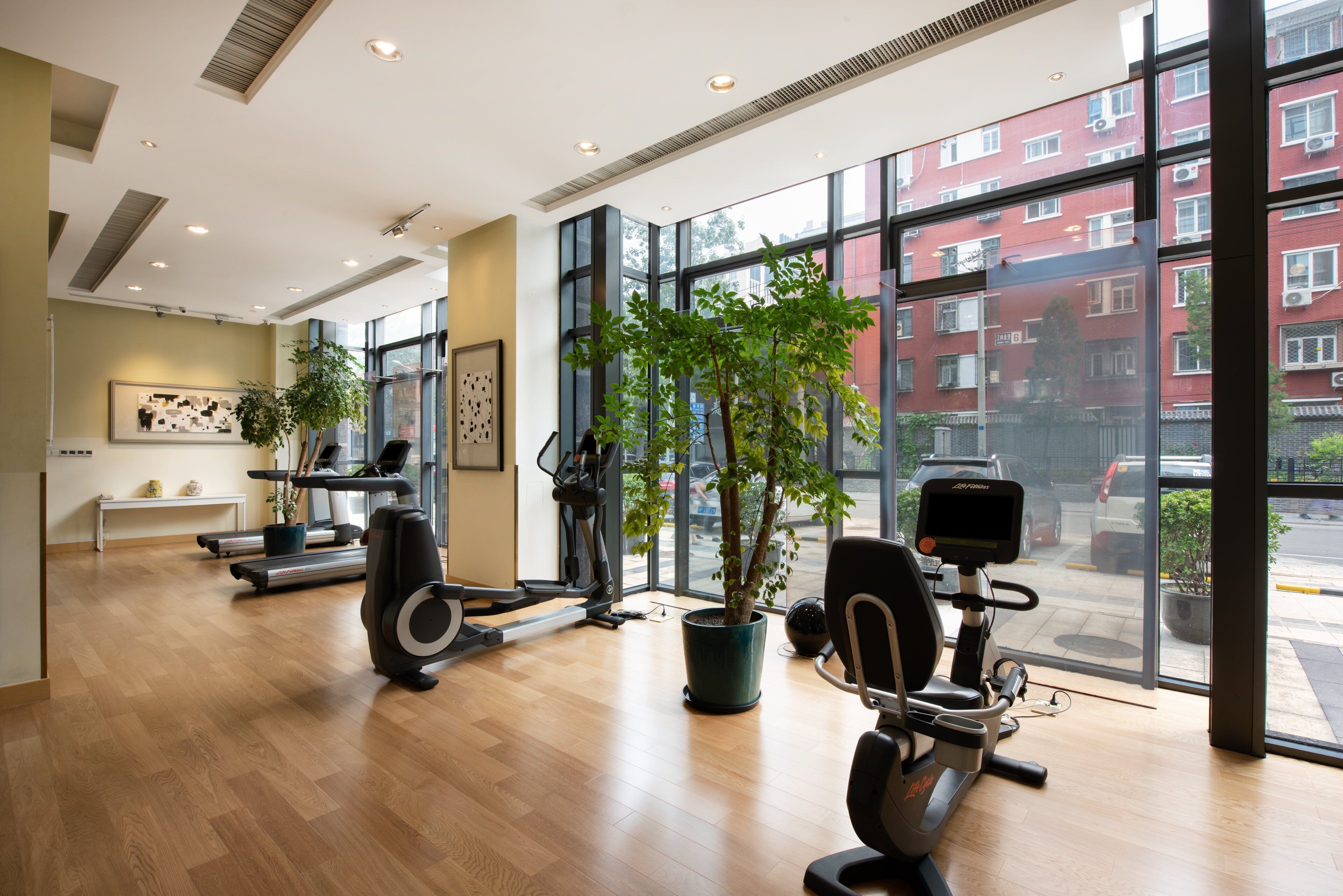 A modern gym with exercise equipment, large windows, and indoor plants.