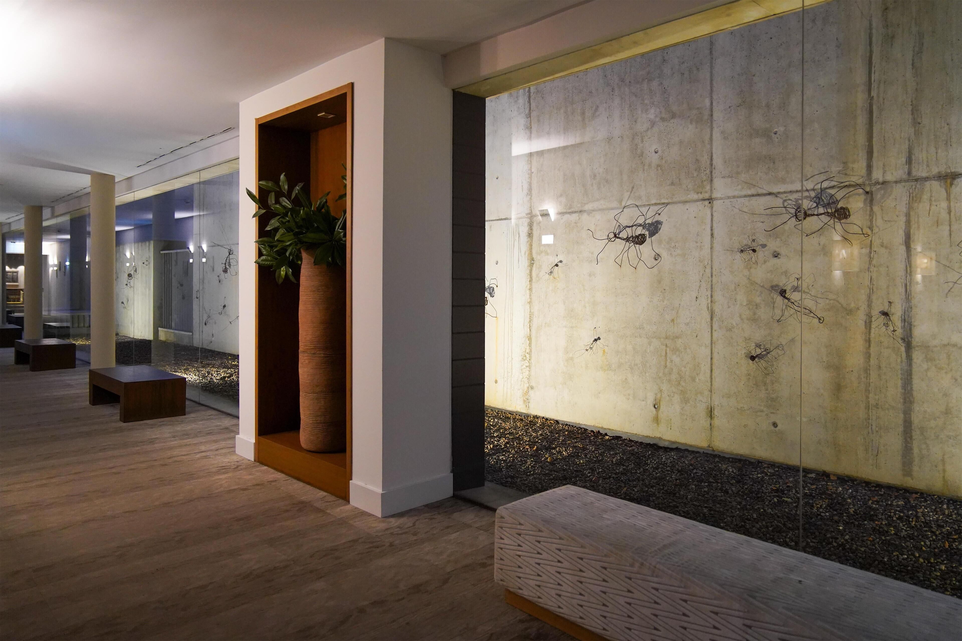 A modern interior with a concrete wall, wooden benches, and a potted plant.