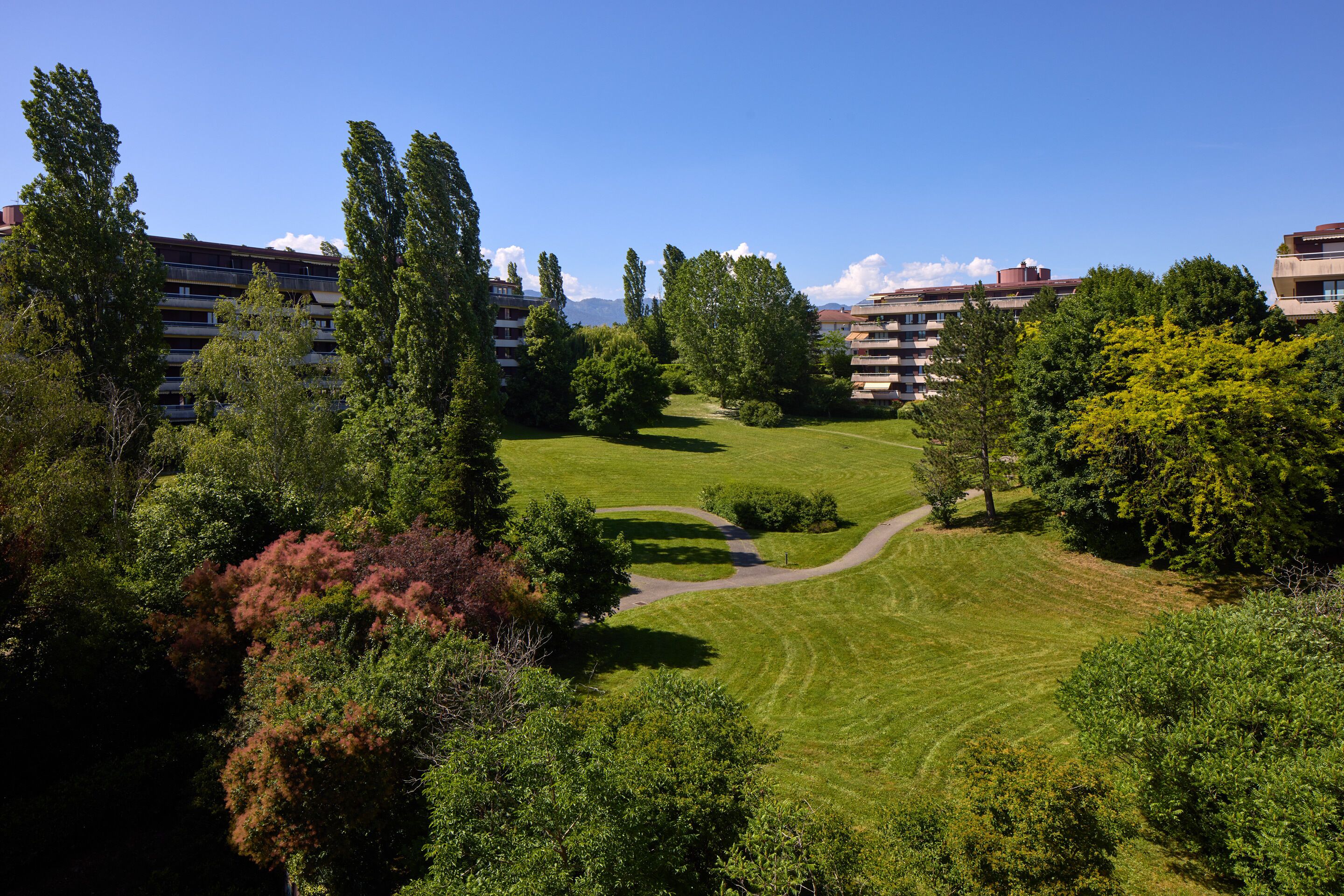 A residential area with multiple-story buildings, a well-maintained lawn, and a winding path.