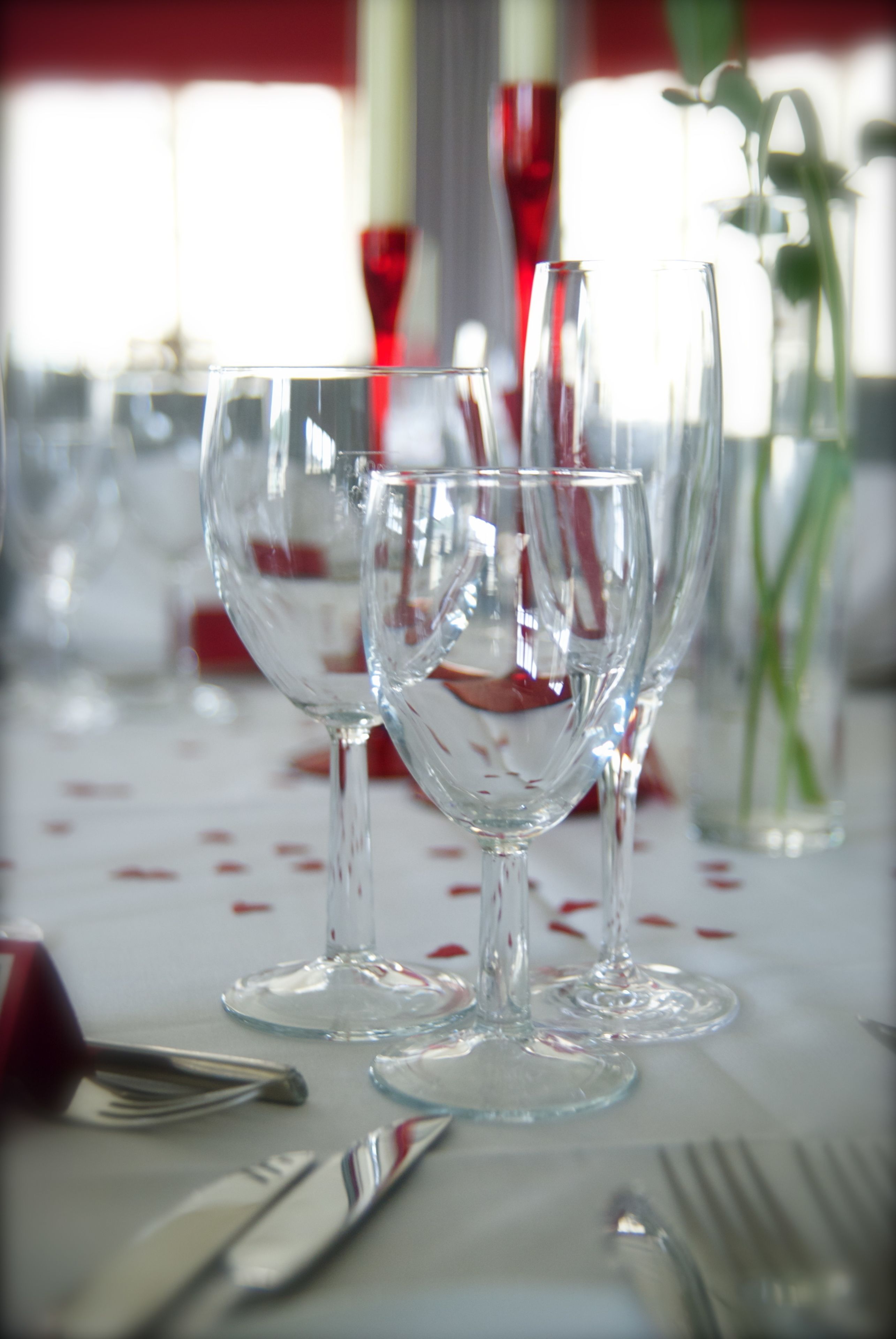 Una mesa servida con copas de vino, cubiertos y un florero con plantas verdes.