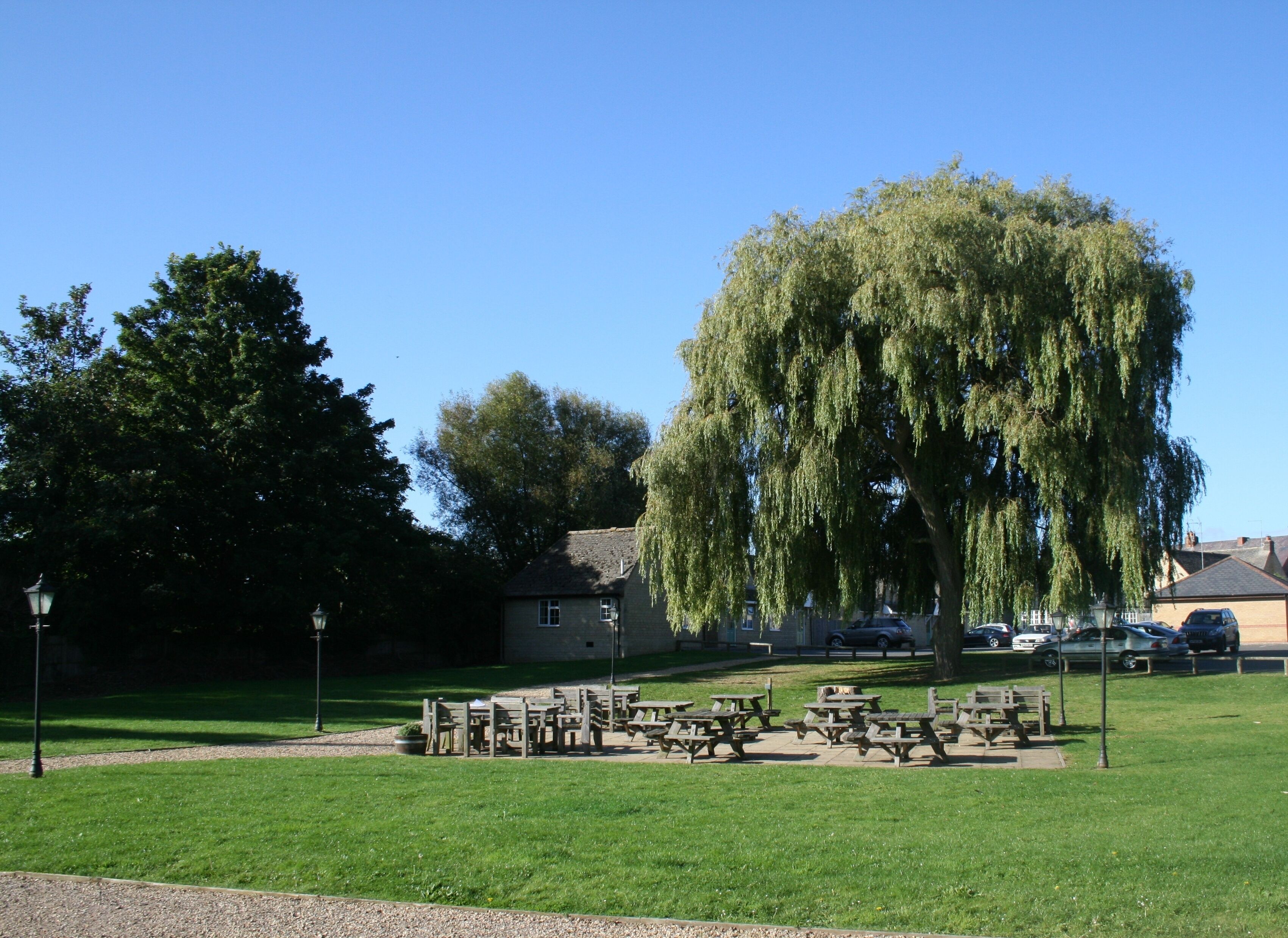 Un parque con mesas de picnic y bancos, un gran sauce llorón y un edificio al fondo.