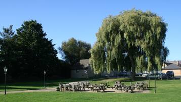 Un parque con mesas de picnic y bancos, un gran sauce llorón y un edificio al fondo.
