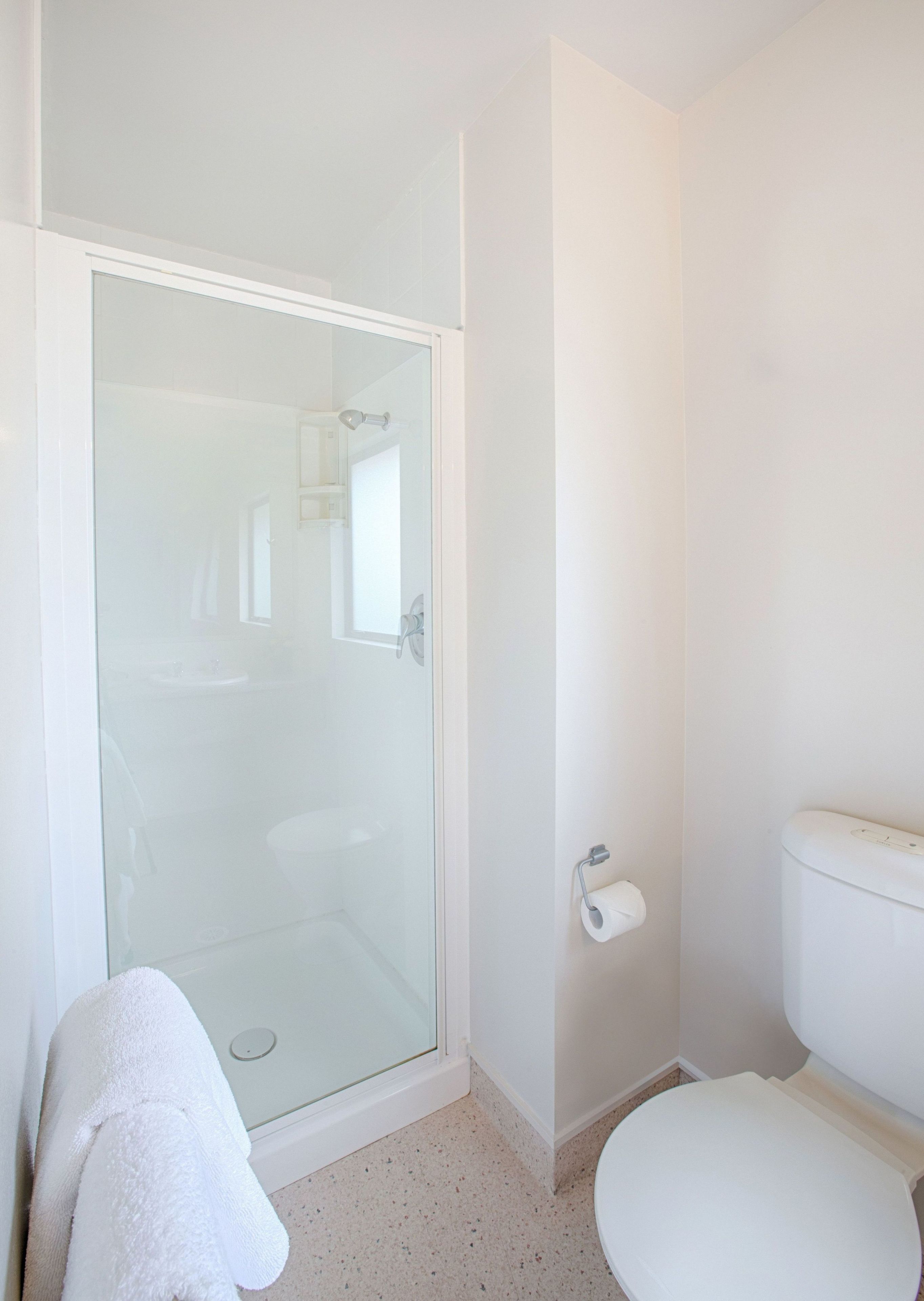 A bathroom with a glass-enclosed shower, a toilet, and a towel rack.