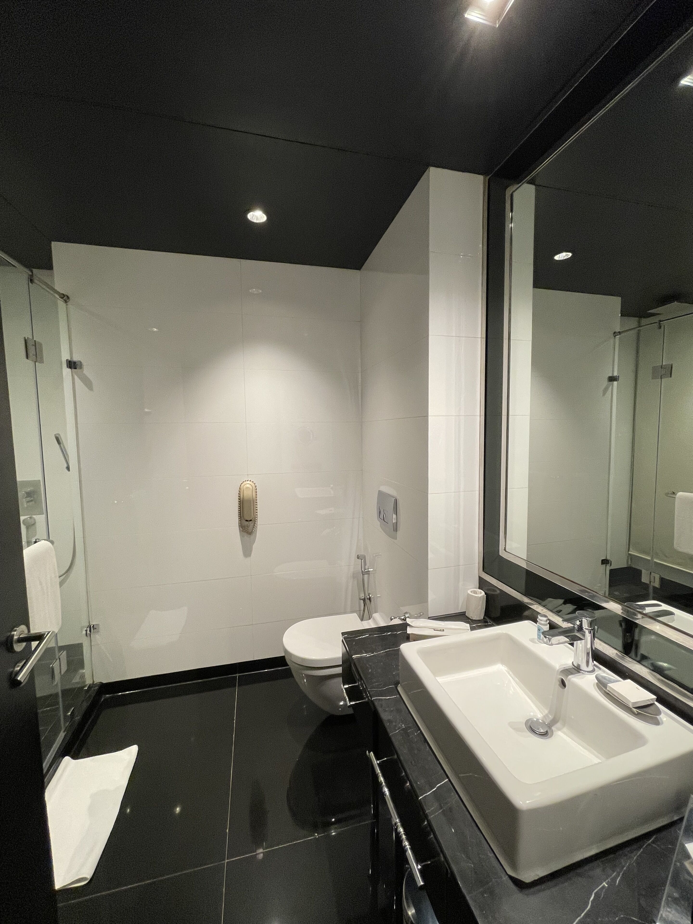 Foto - Radisson Blu Hotel New Delhi Paschim Vihar