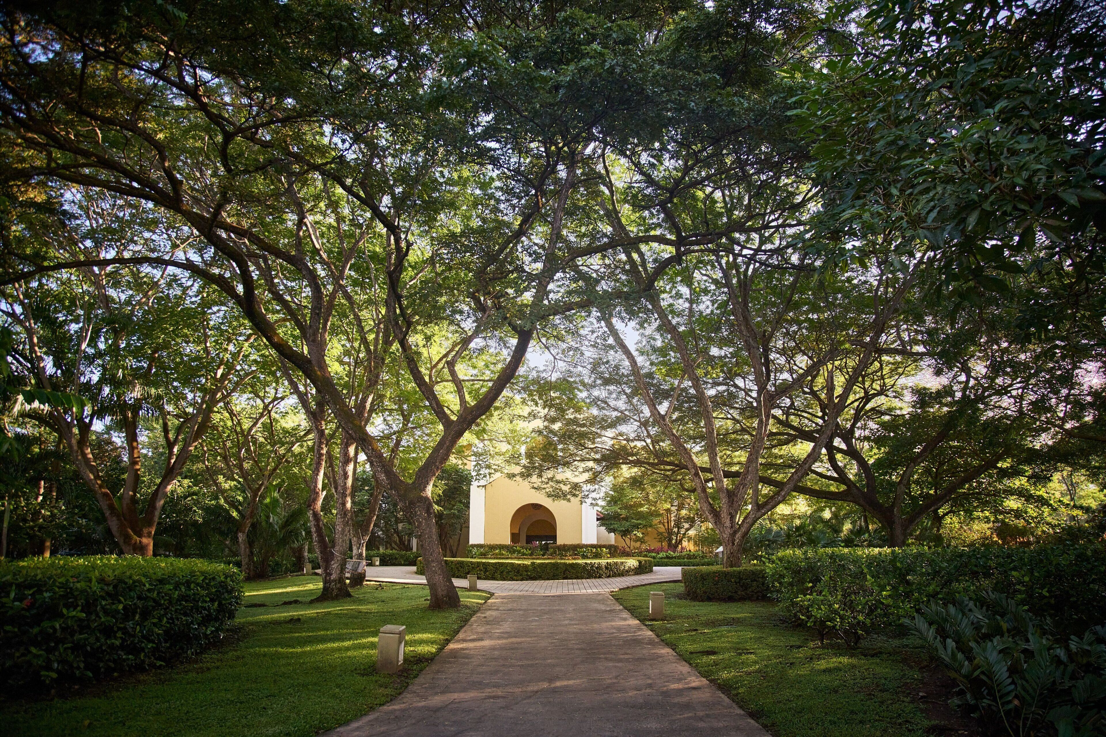 A pathway leading to a building with an arched entrance, surrounded by lush greenery and trees.