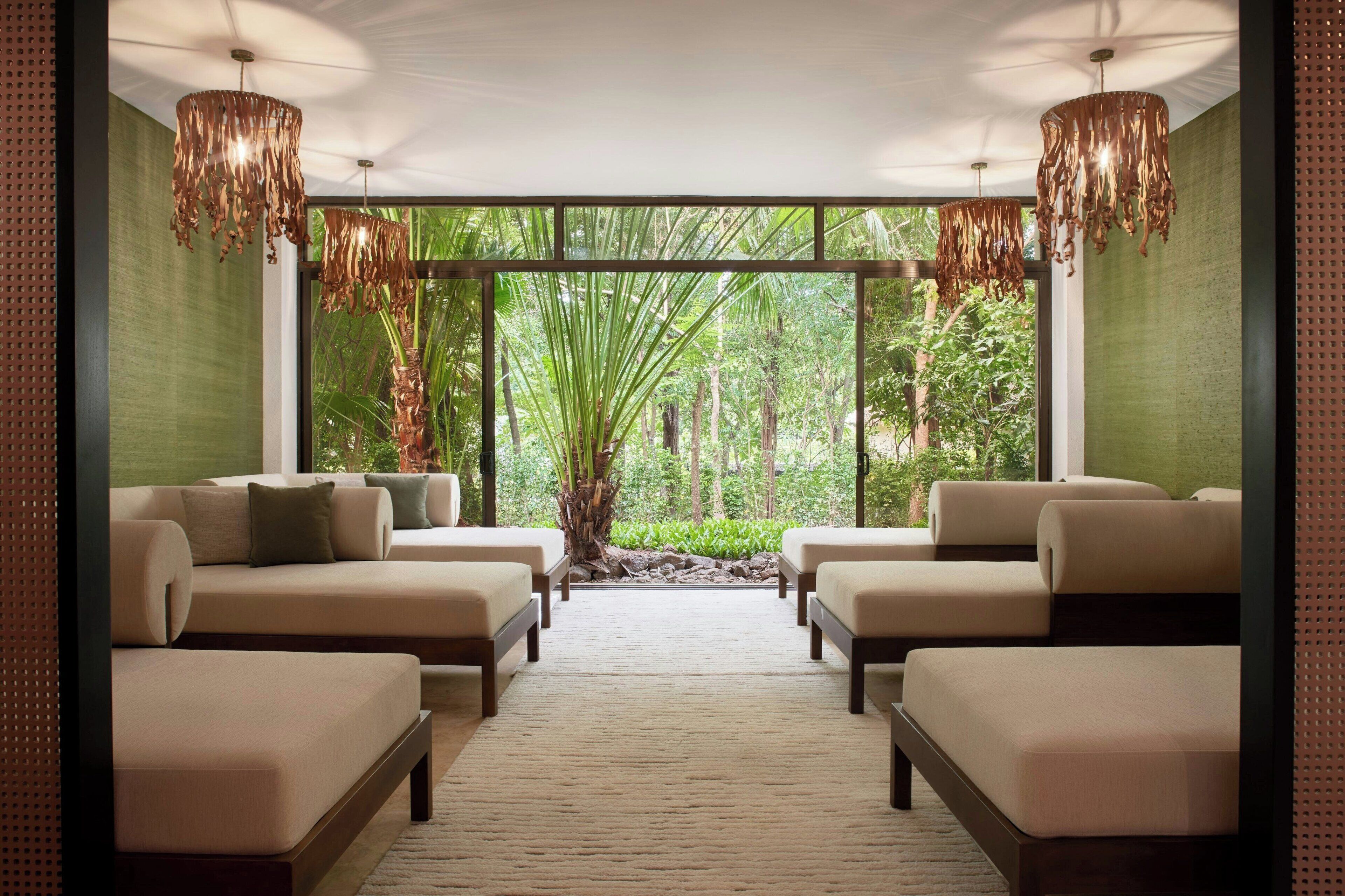 A spa room with two sofas, a large window, and a tree view.