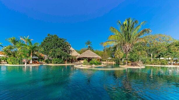 A resort pool area with clear water, palm trees, and thatched-roof huts.