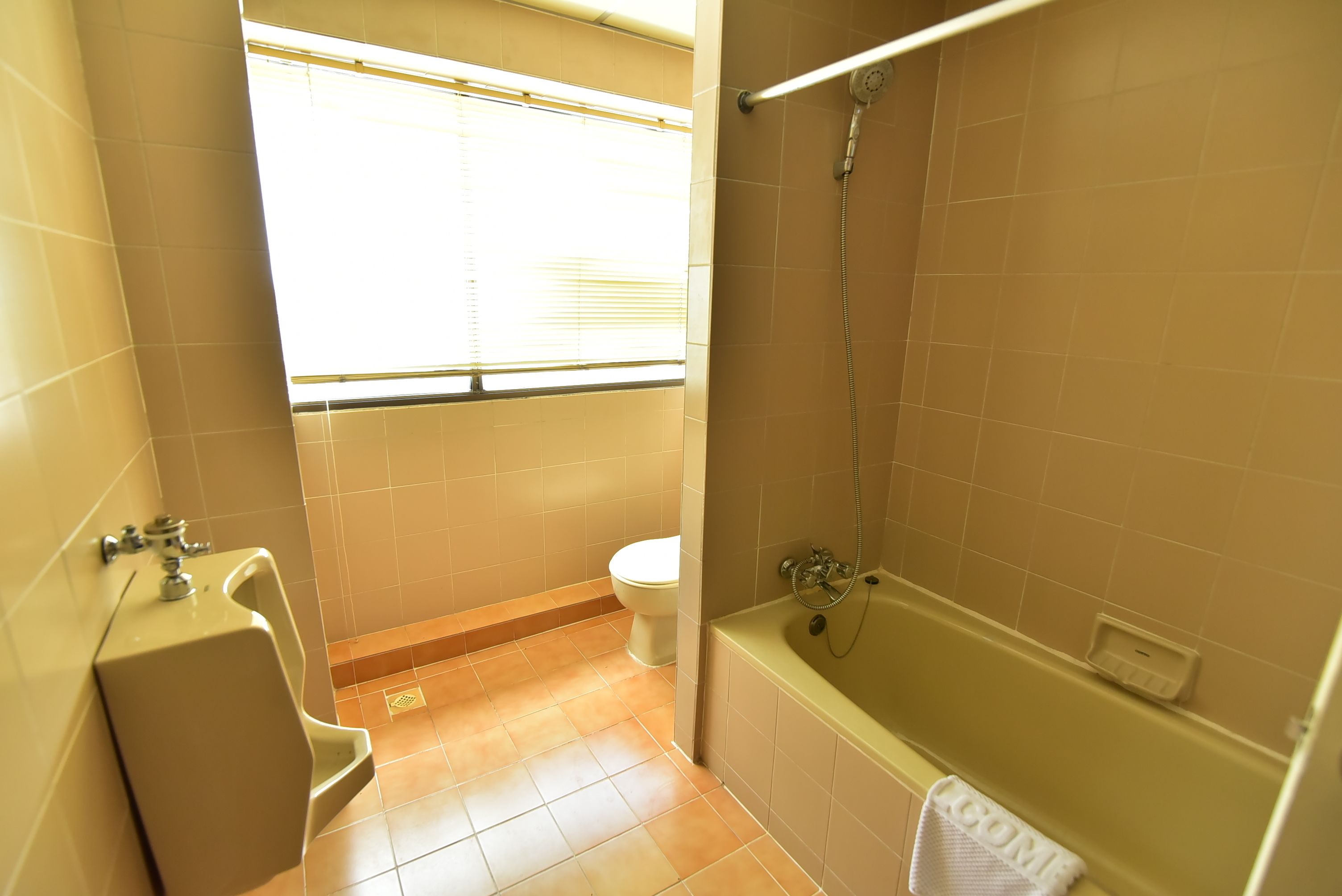 A bathroom with a toilet, urinal, and bathtub.